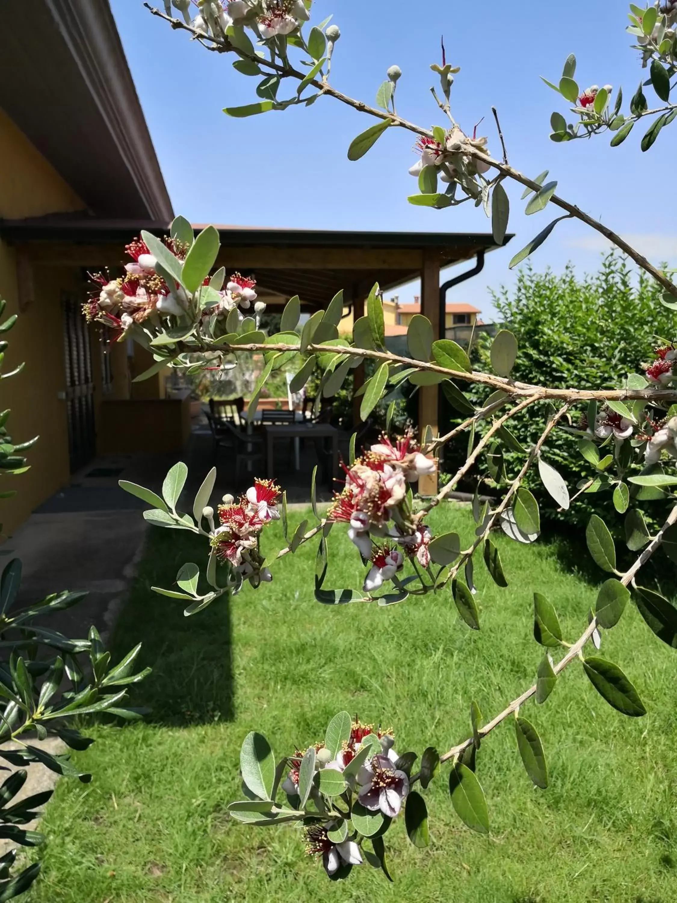 Natural landscape, Garden in B&B Gassa d'Amante