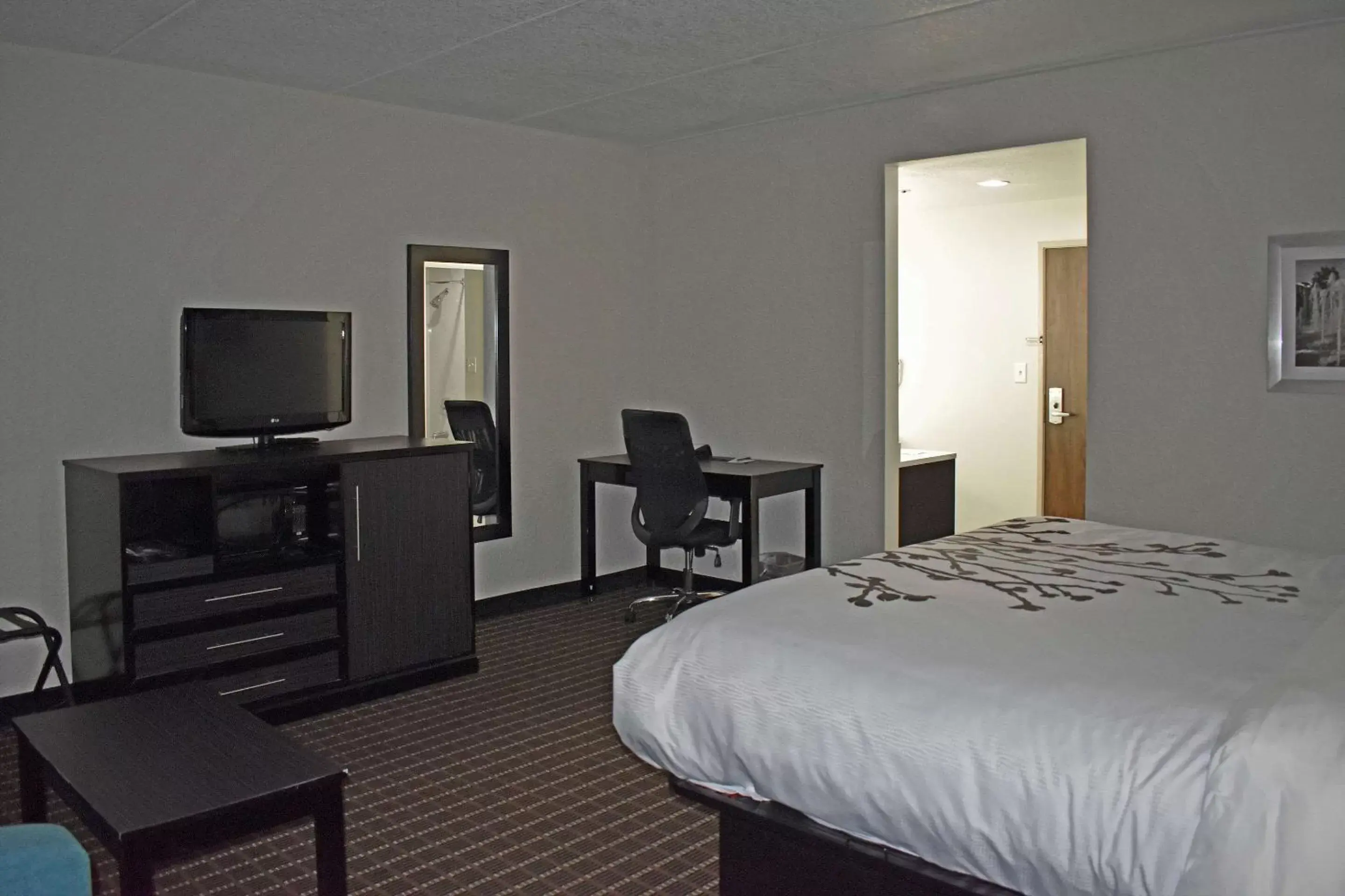 Bedroom, Bed in Sleep Inn & Suites West Knoxville