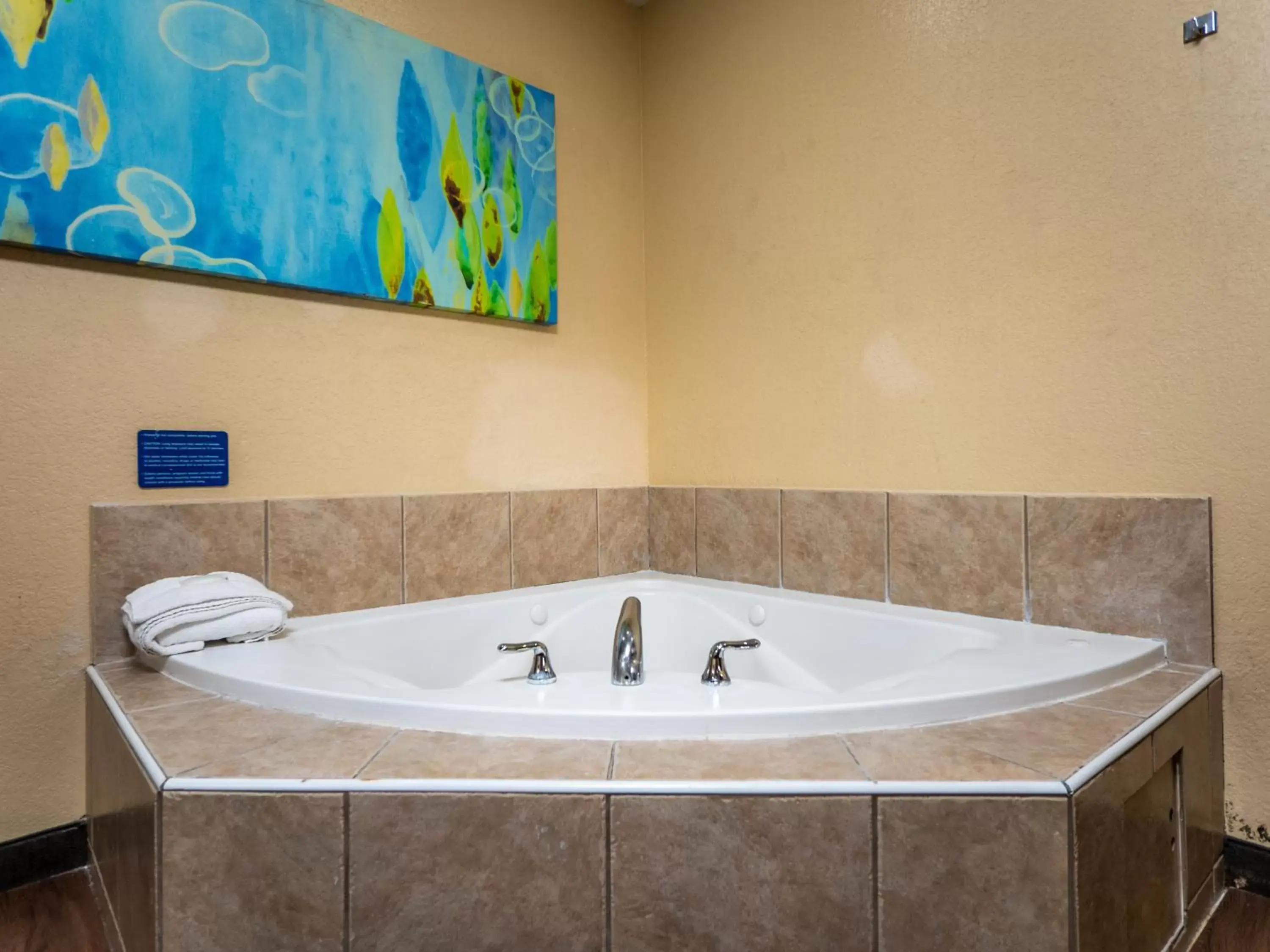 Hot Tub, Bathroom in Microtel Inn and Suites Ocala