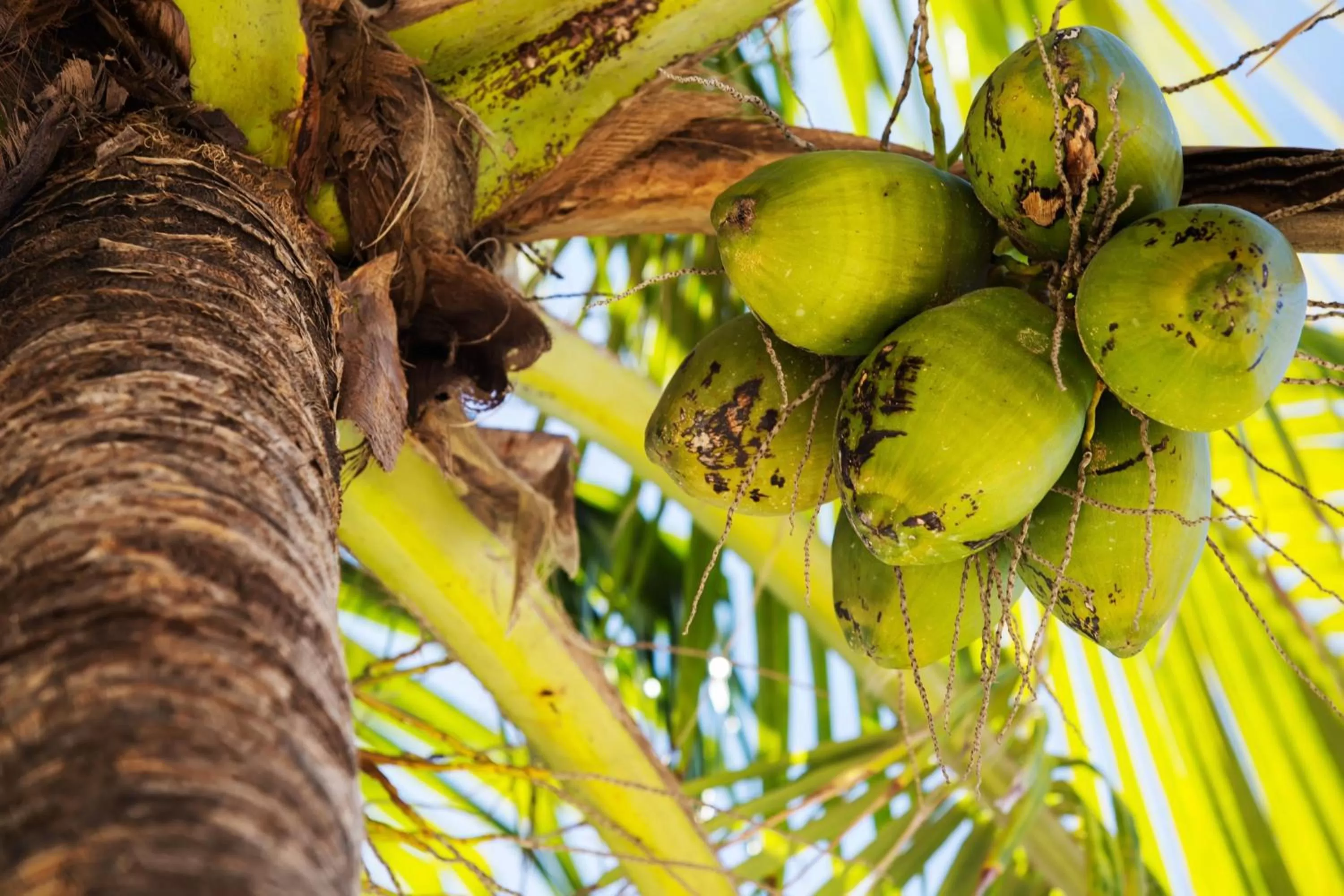 Other in Playa Largo Resort & Spa, Autograph Collection