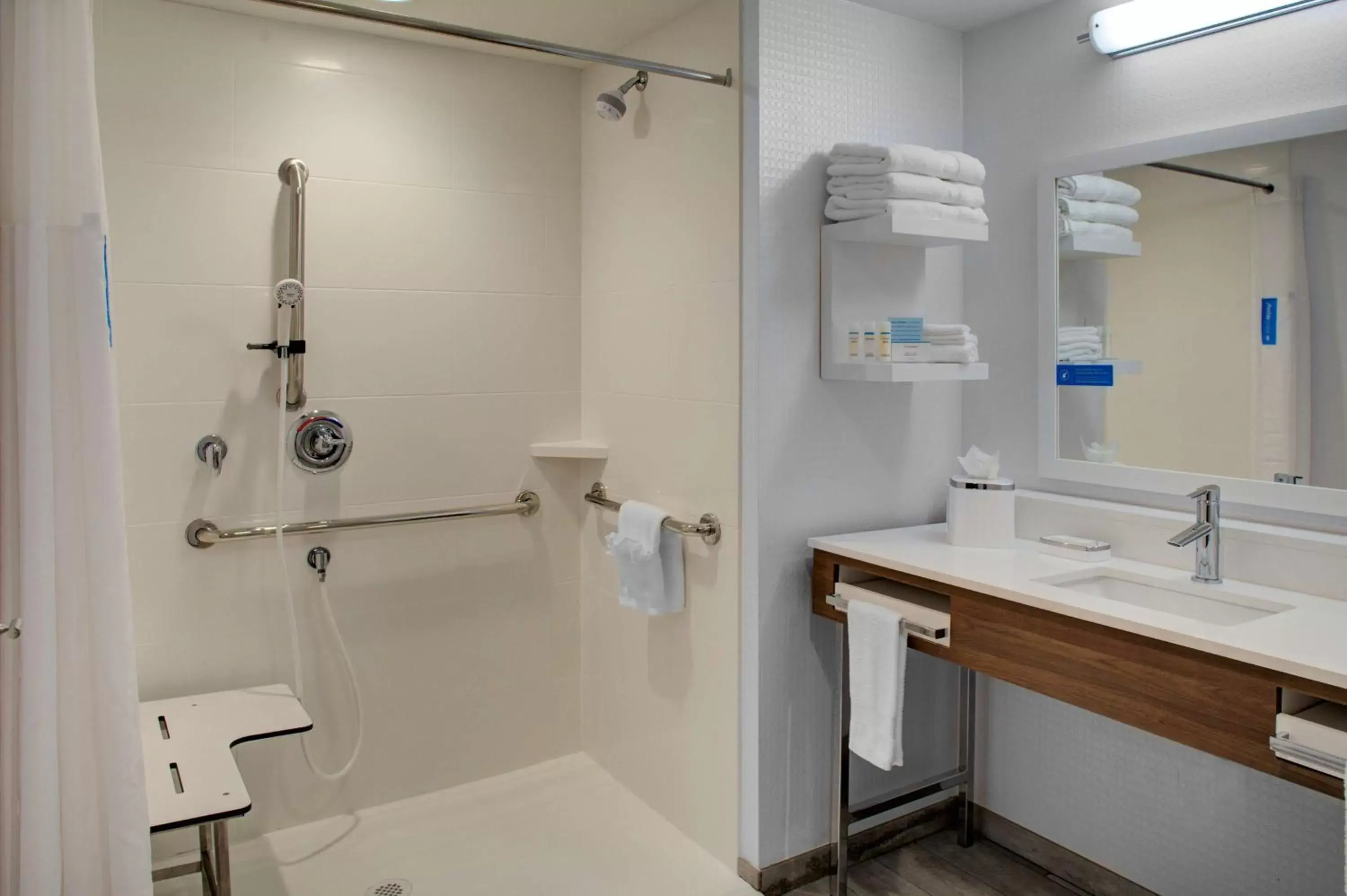 Bathroom in Hampton Inn Suites Flagstaff East