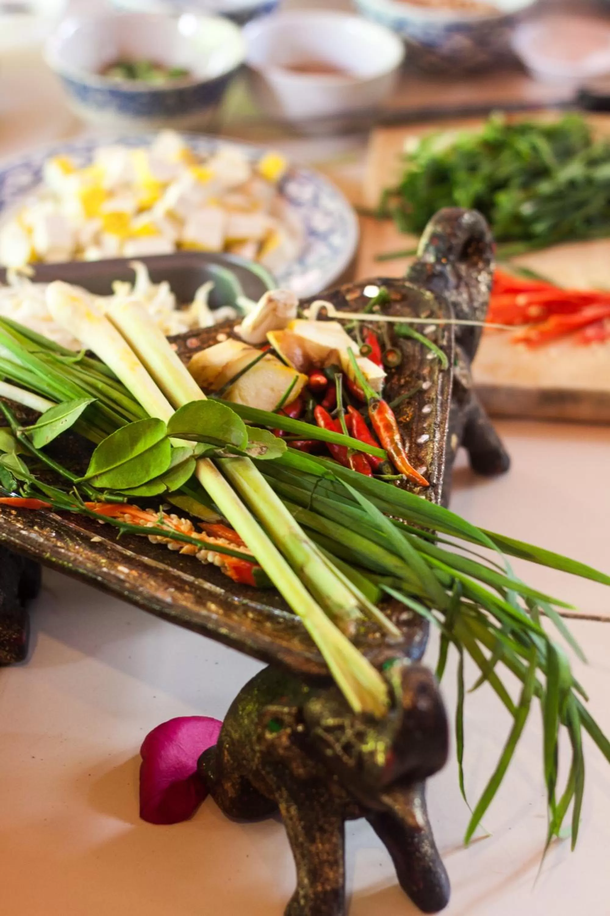 Activities in Joy's House & Tour