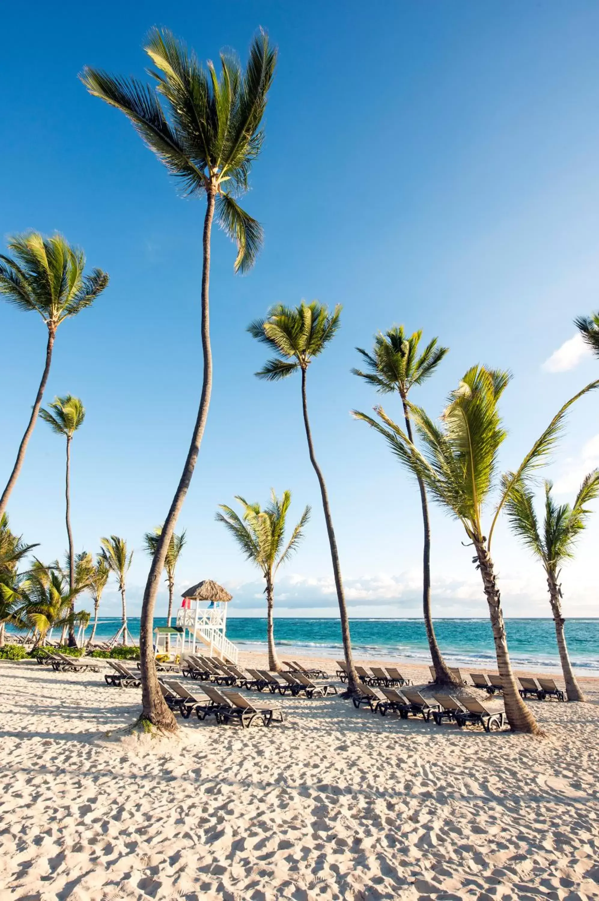 Occidental Punta Cana - All Inclusive Occidental Punta Cana - All Inclusive