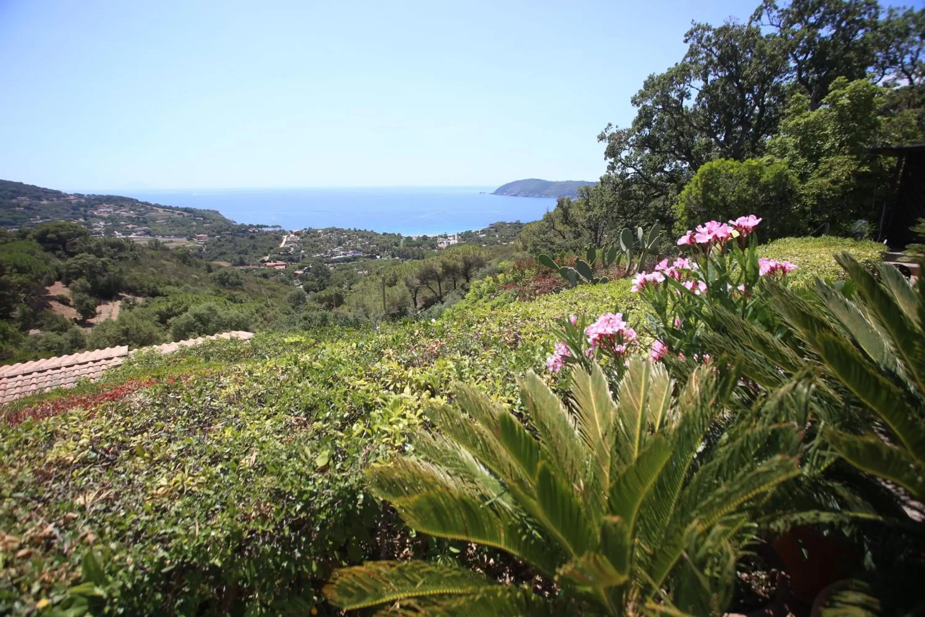 Garden in Ca' La Stella Sea-view Apartments