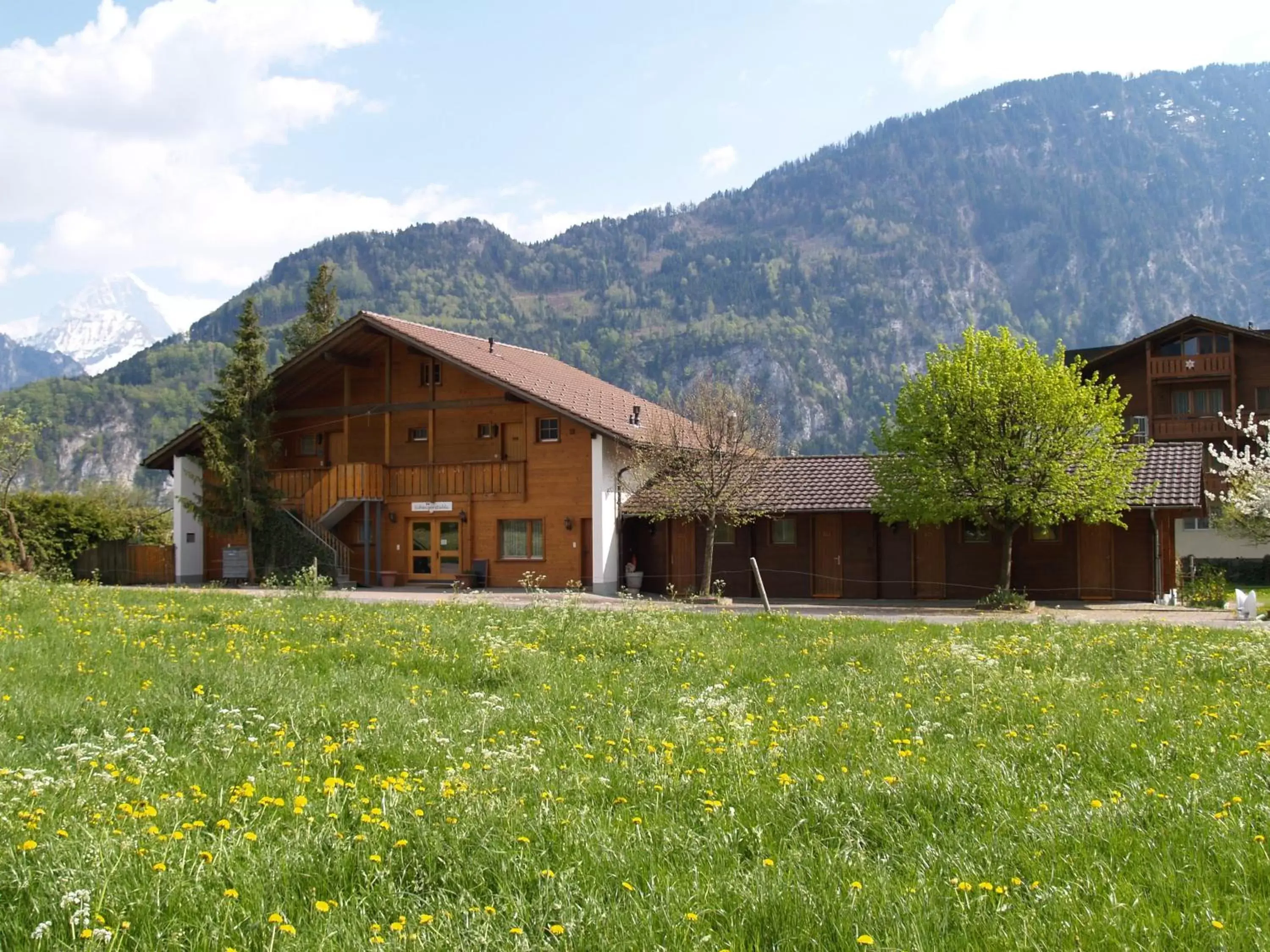 Garden, Property Building in Salzano Basic Rooms Interlaken