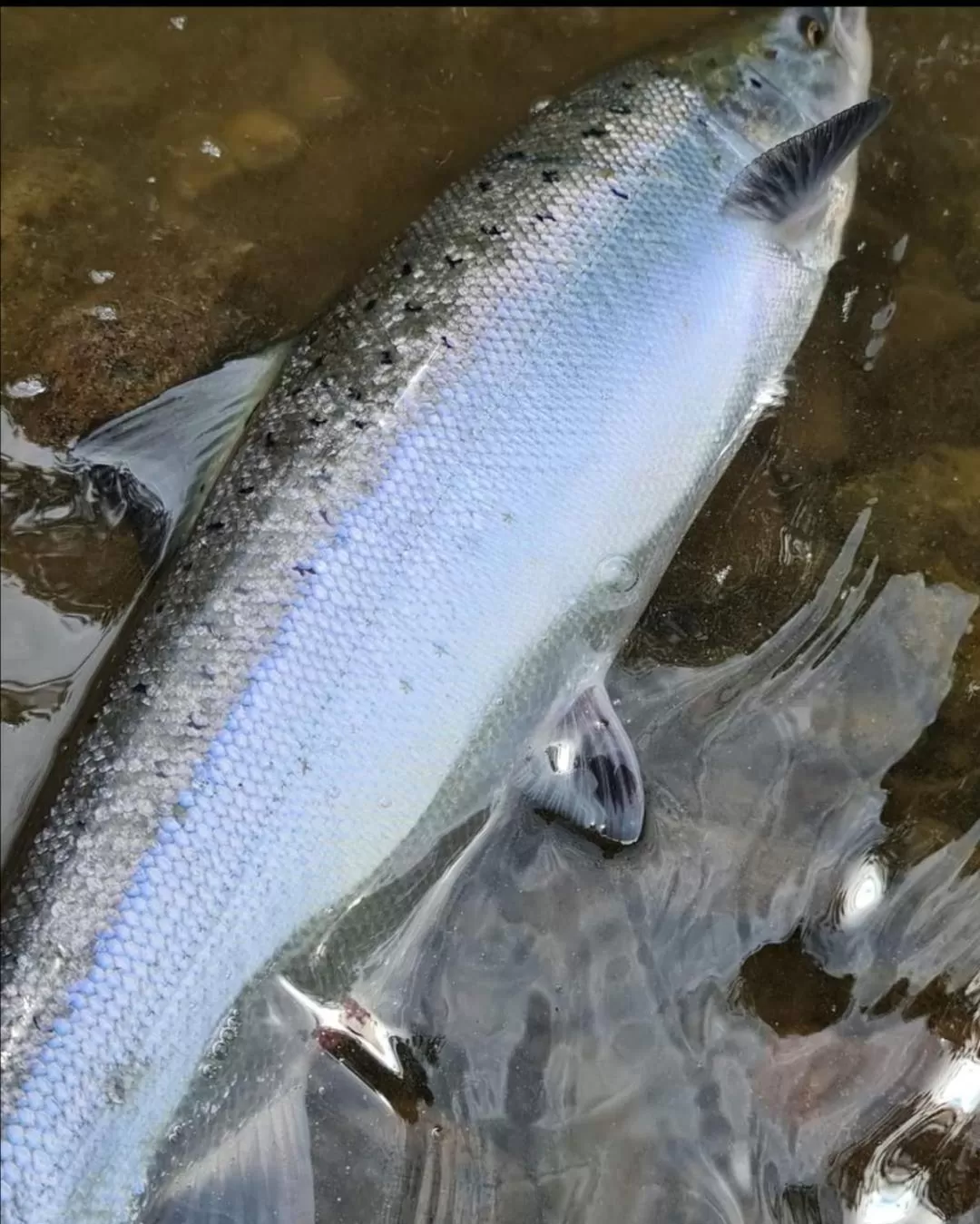 Cable Island Bed and Breakfast