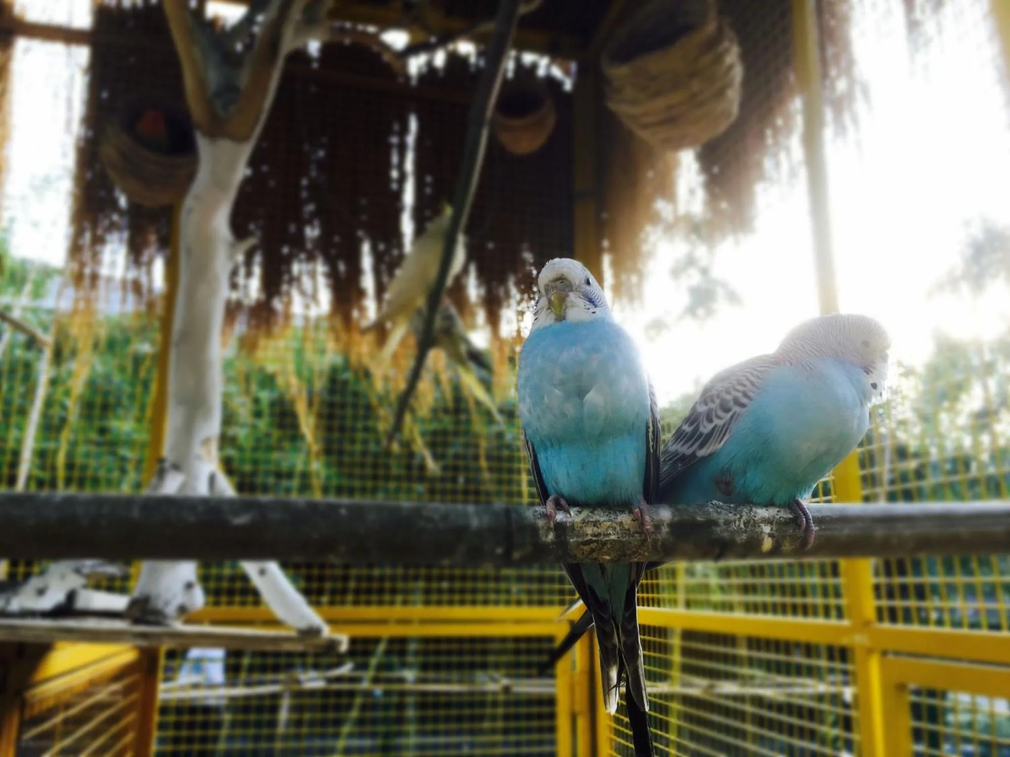 Fitness centre/facilities in Crowne Plaza Shanghai Xiayang Lake by IHG