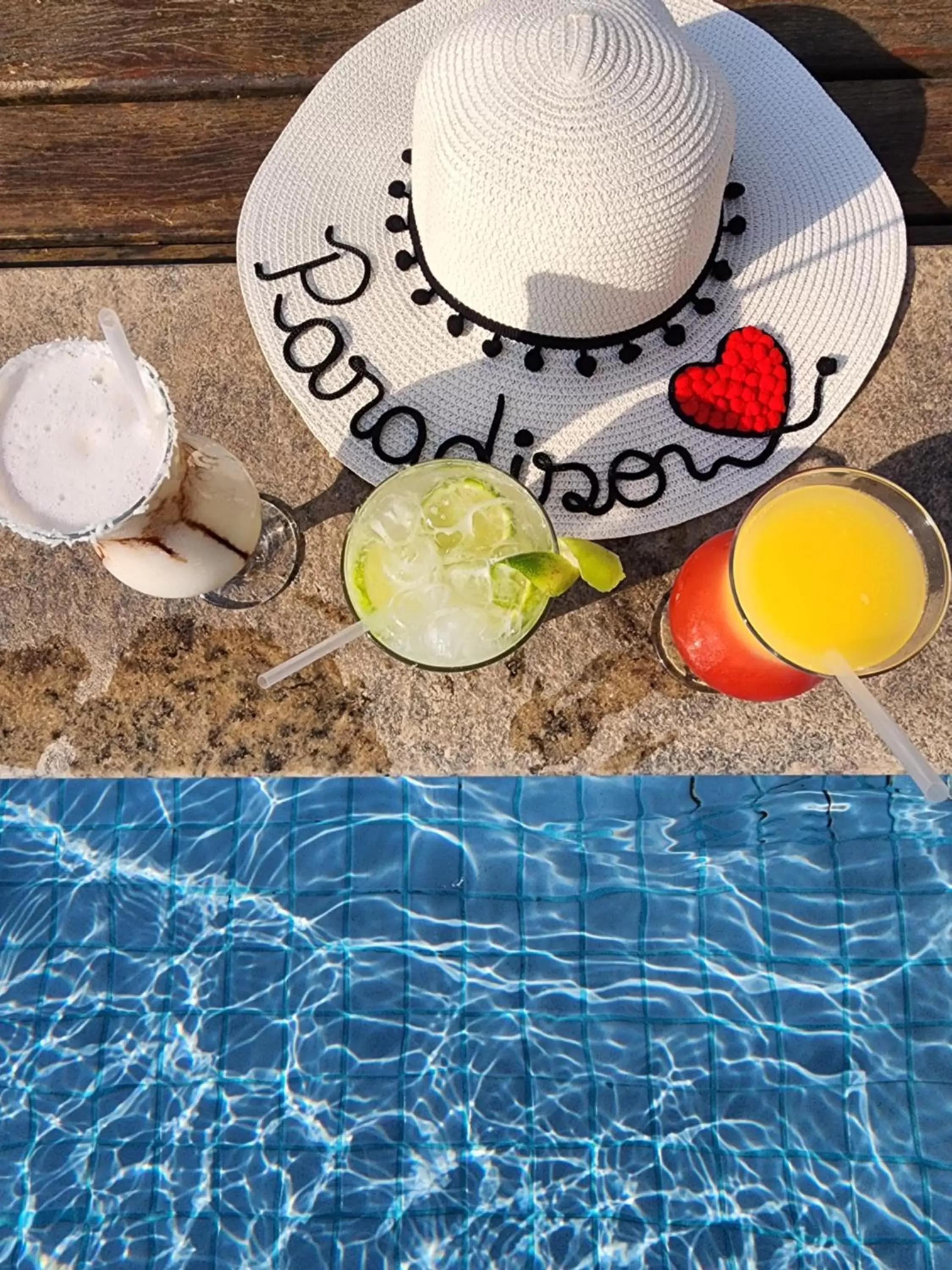 Lounge or bar in Paradiso Corporate Lounge or bar in Paradiso Corporate