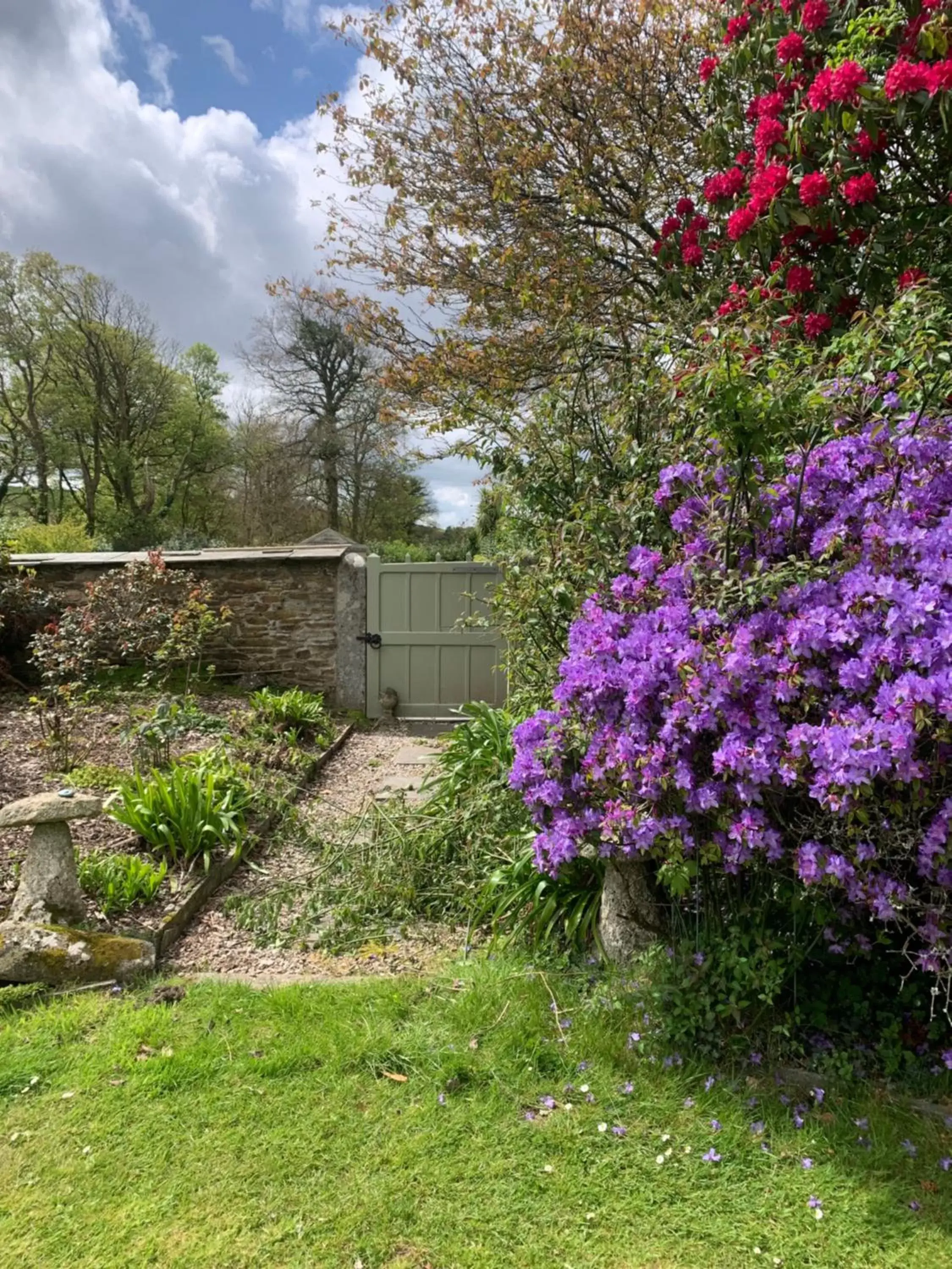 Spring, Garden in Trewardale