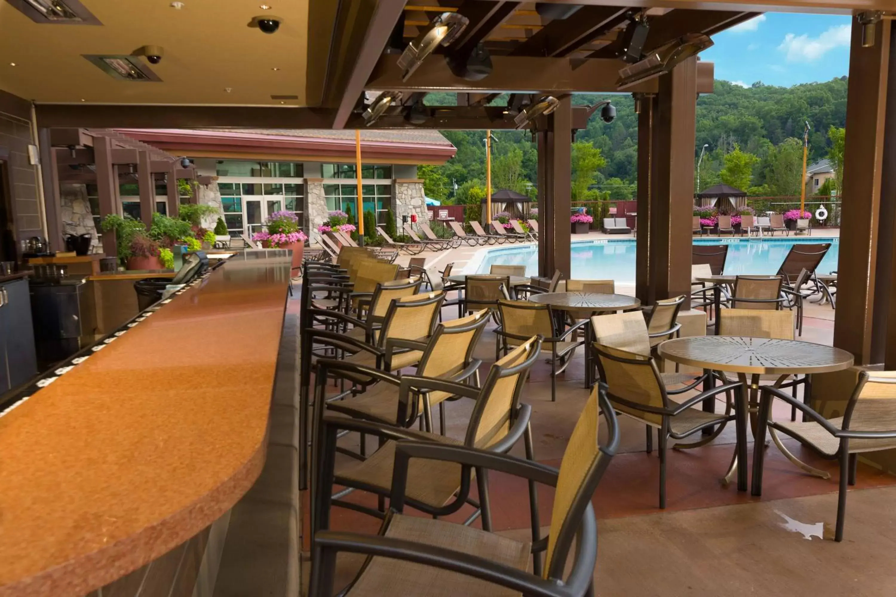 Swimming pool, Restaurant/Places to Eat in Harrah's Cherokee Casino Resort