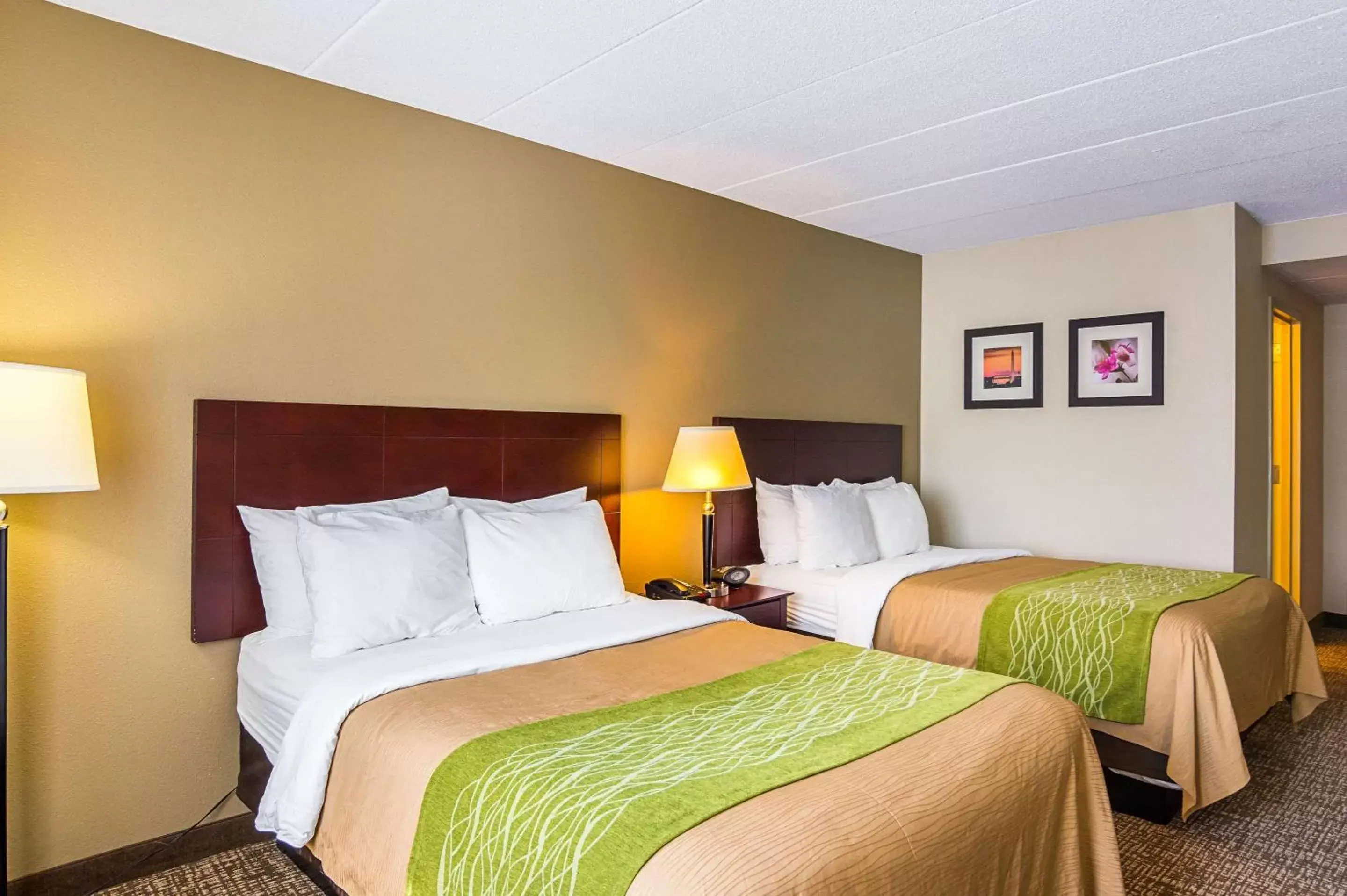 Photo of the whole room in Comfort Inn Herndon-Reston