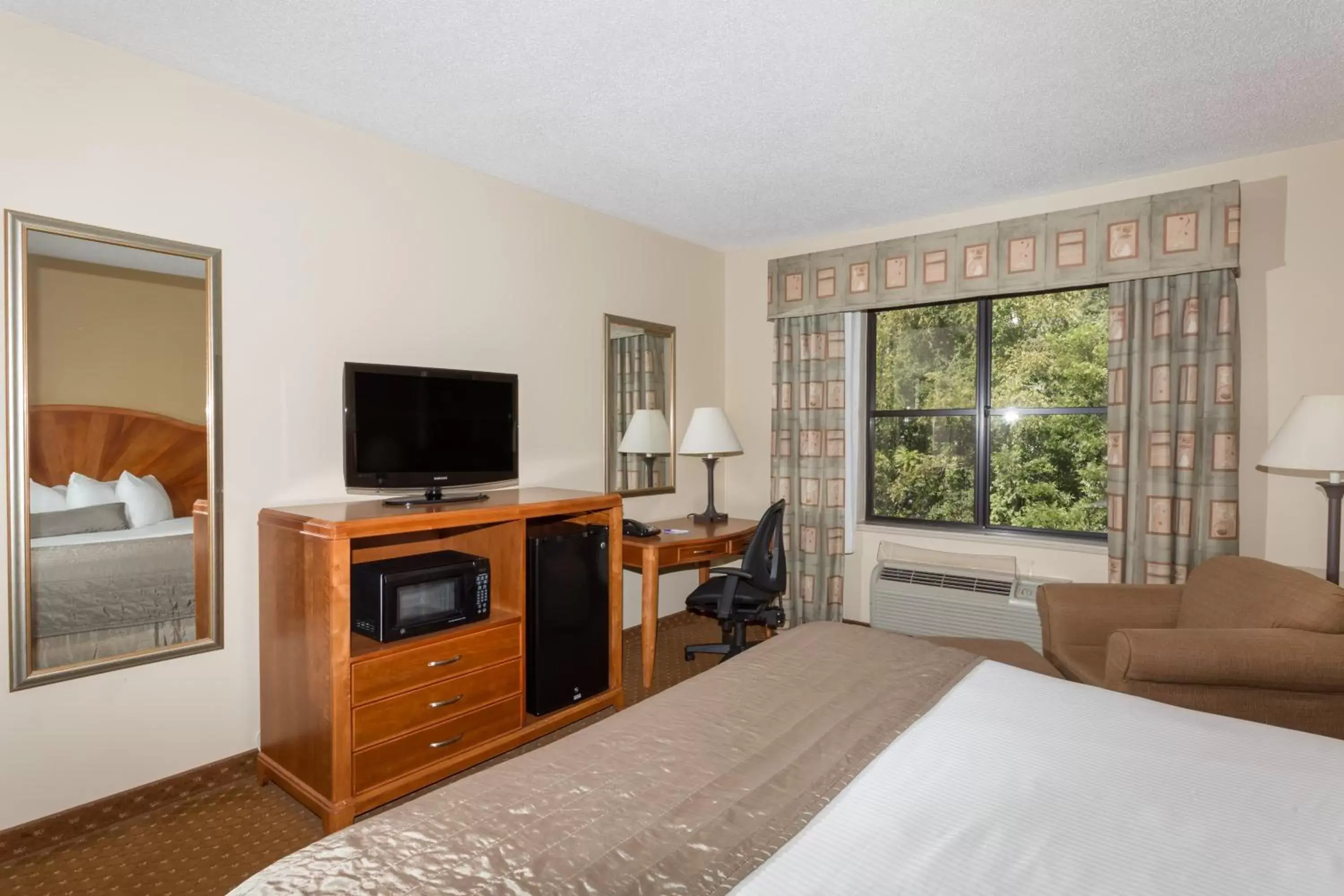 Bedroom, TV/Entertainment Center in Baymont by Wyndham Asheville/Biltmore