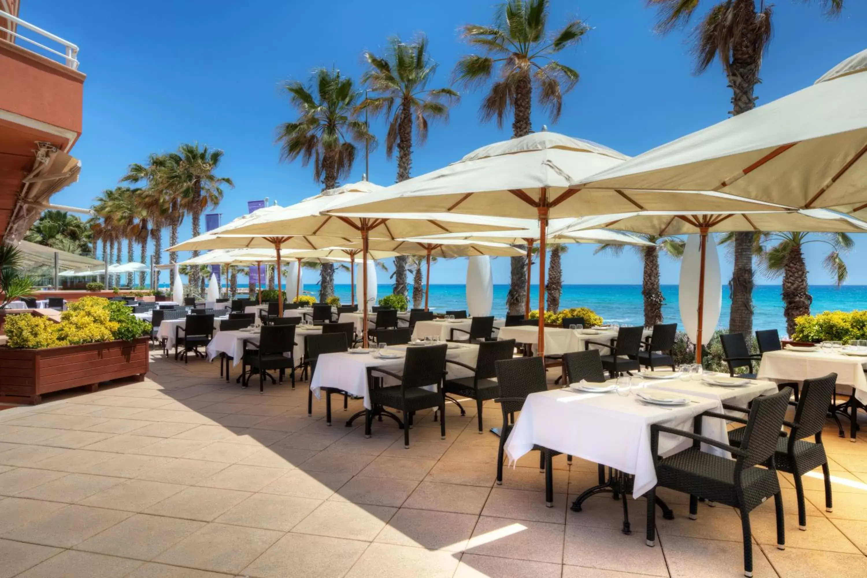 Food and drinks, Restaurant/Places to Eat in Sunway Playa Golf & Spa Sitges