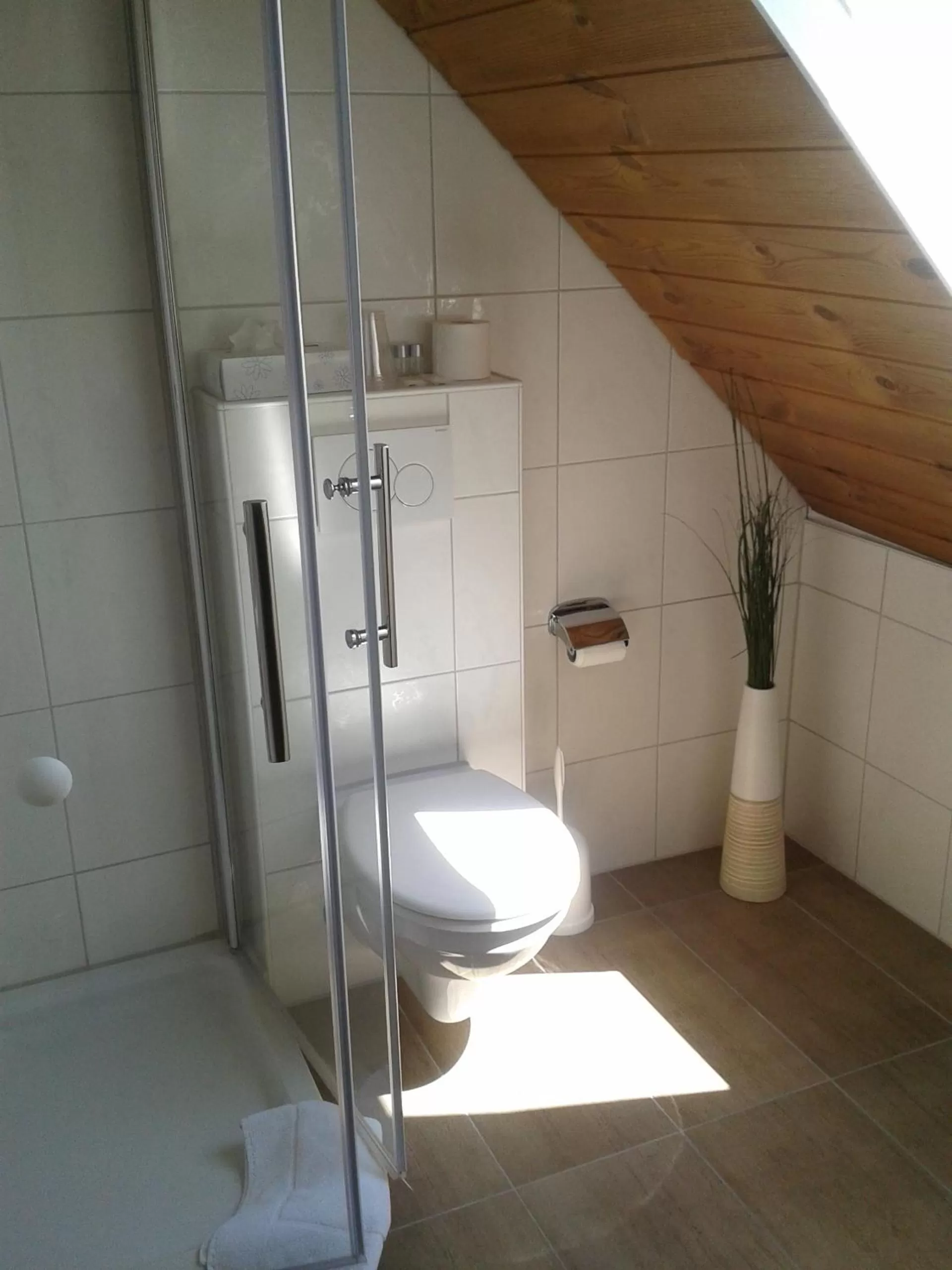 Toilet in Hotel-Restaurant Zur Kanne