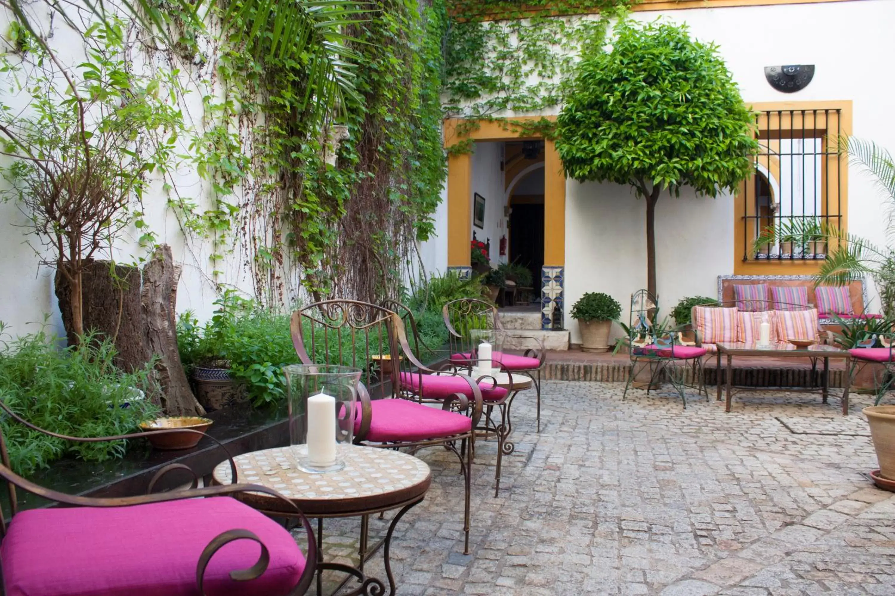 Garden, Restaurant/Places to Eat in Hotel Casa Imperial