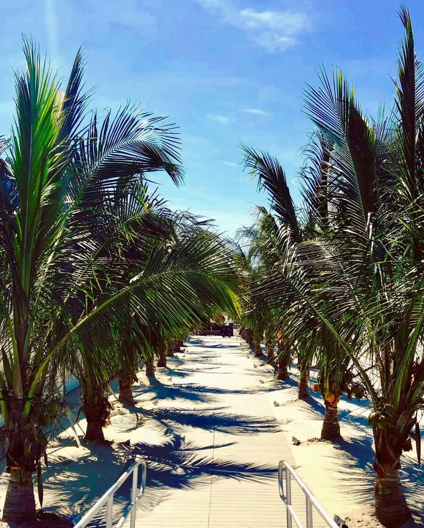 Beach in ICONA Diamond Beach
