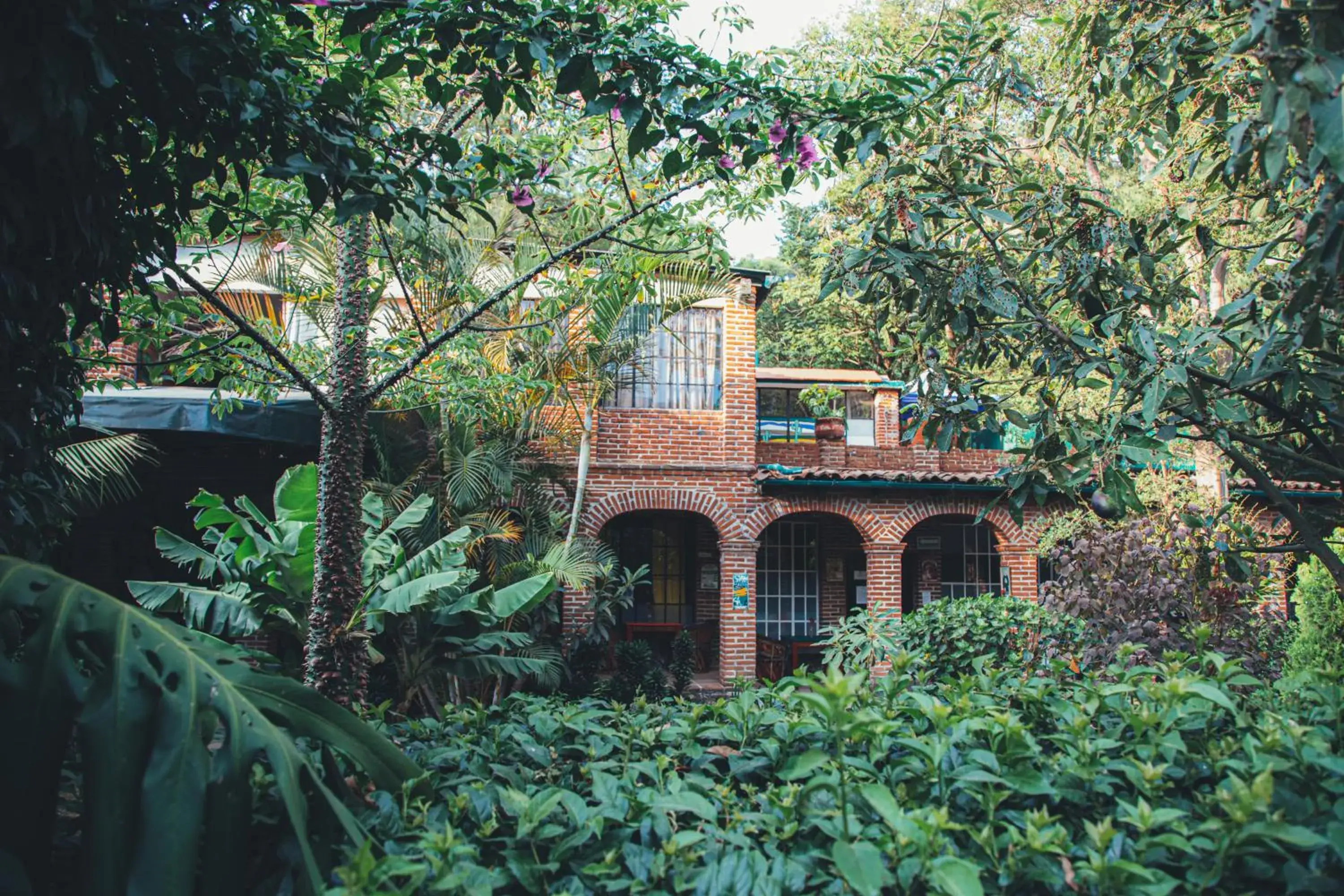 Garden, Property Building in Hotel La Posada del Valle