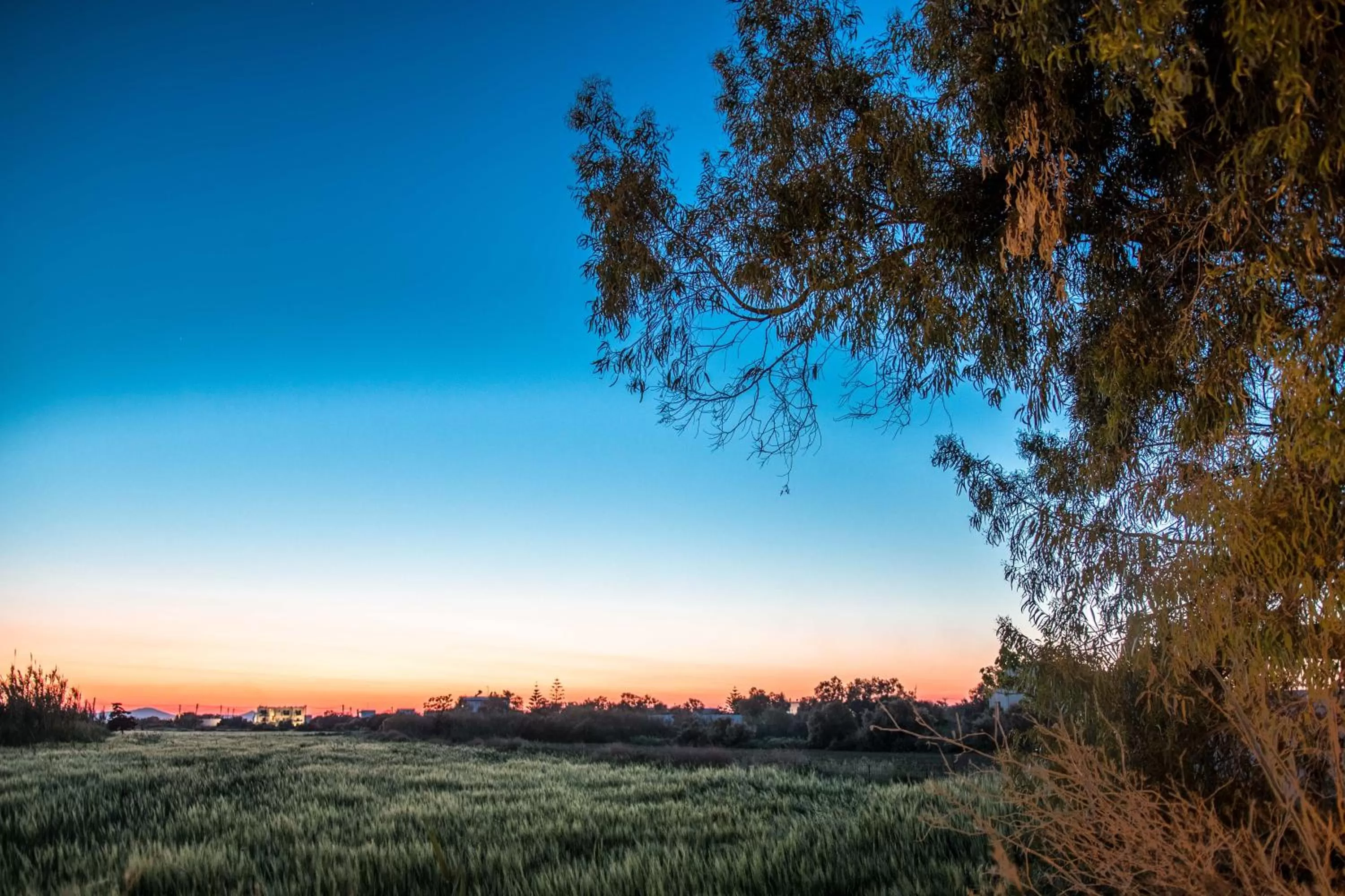 Property building in Ktima Bianco