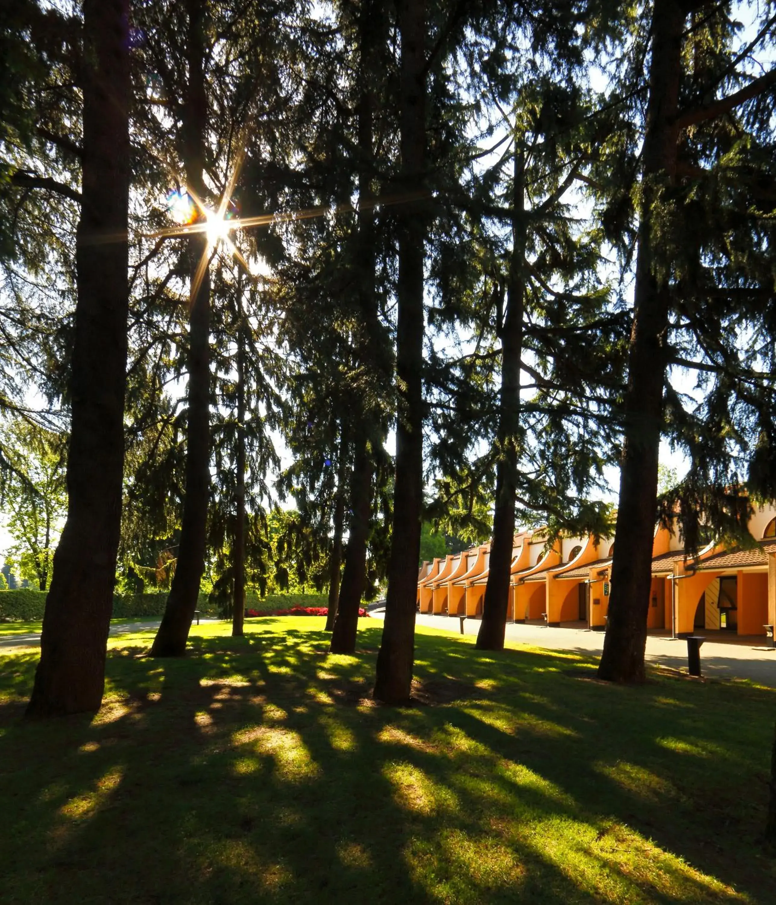 Garden in Hotel Pineta