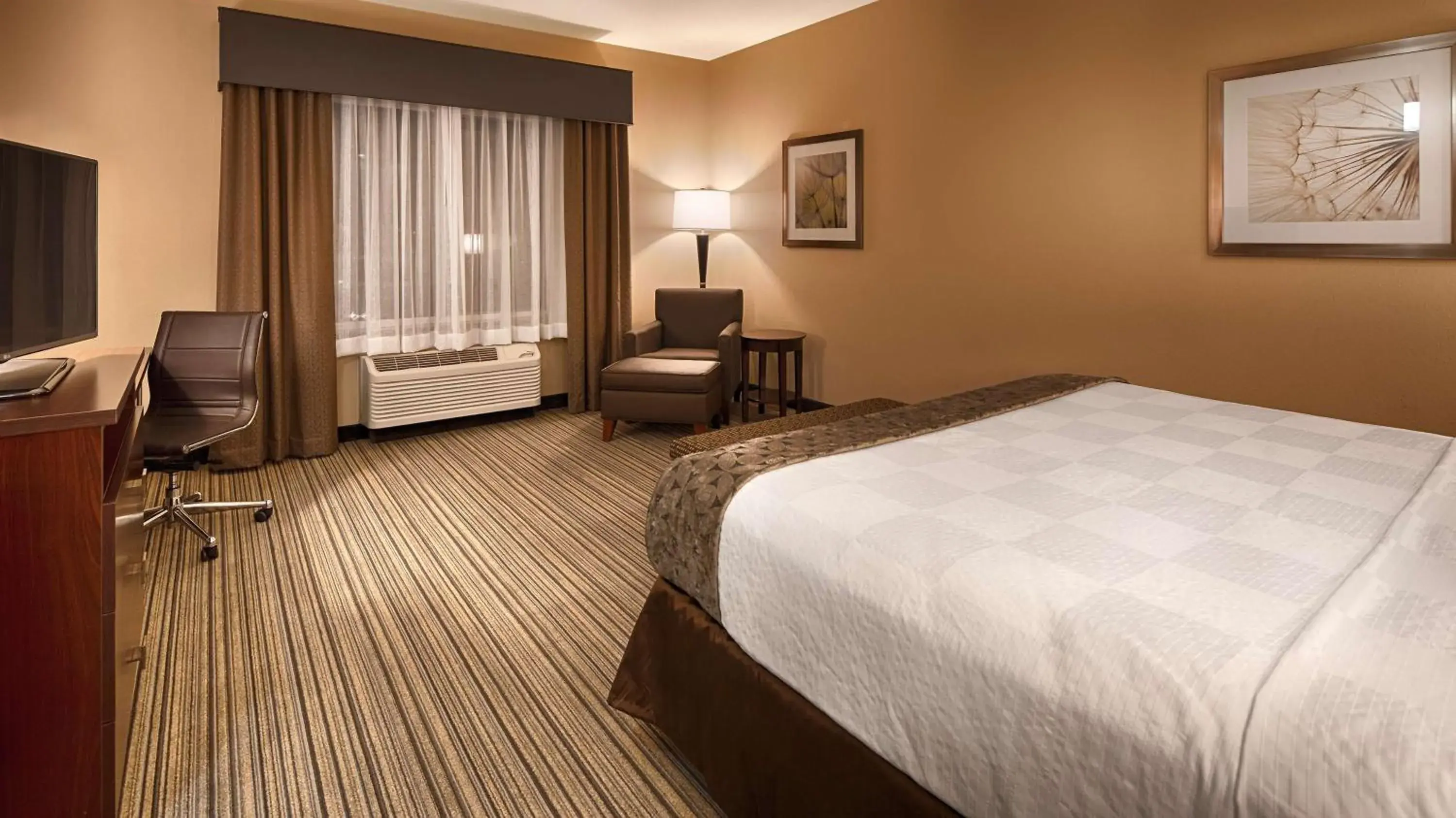 Photo of the whole room, Bed in Best Western Plus Boardman Inn & Suites