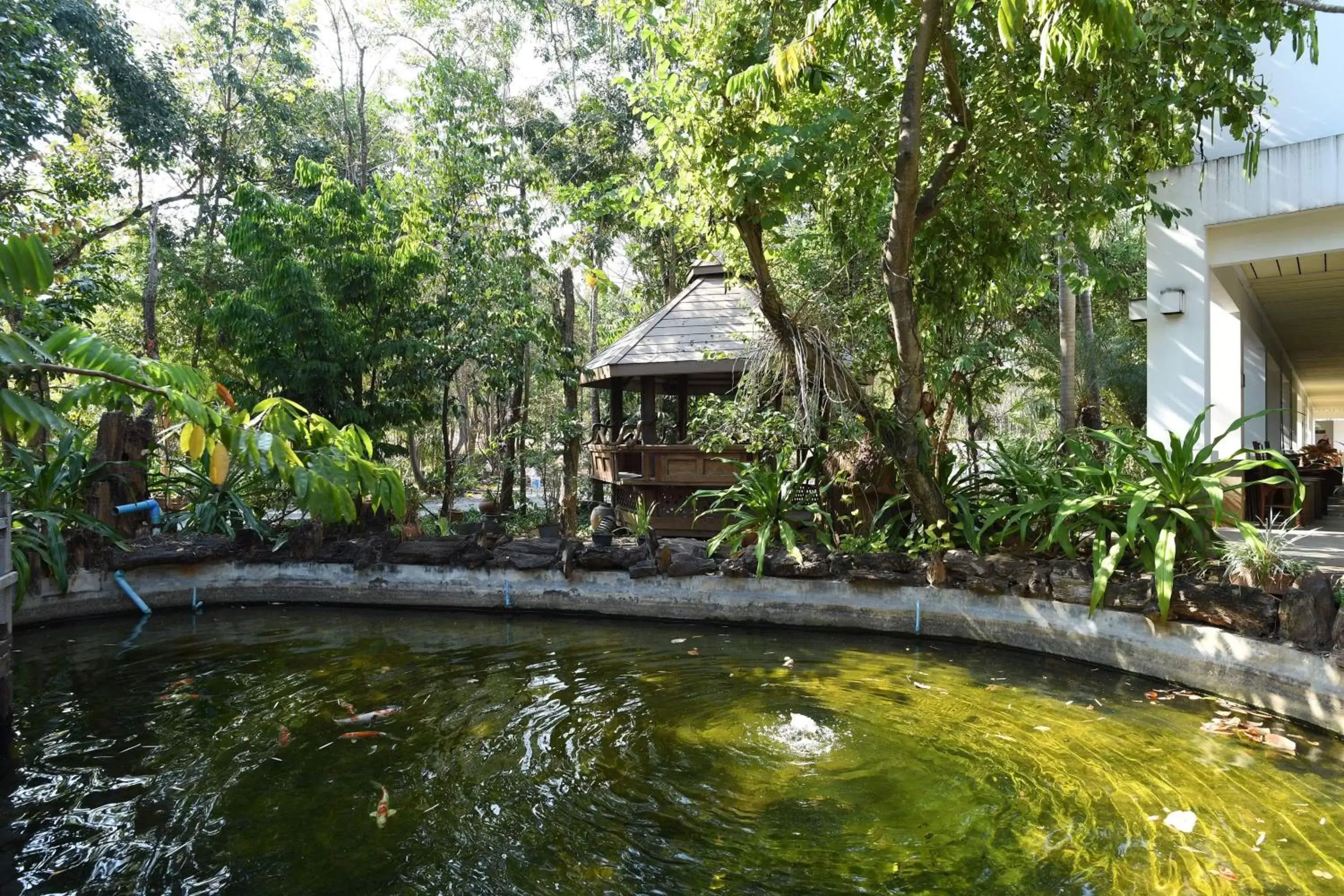 Garden, Swimming Pool in Tak Andaman Resort & Hotel