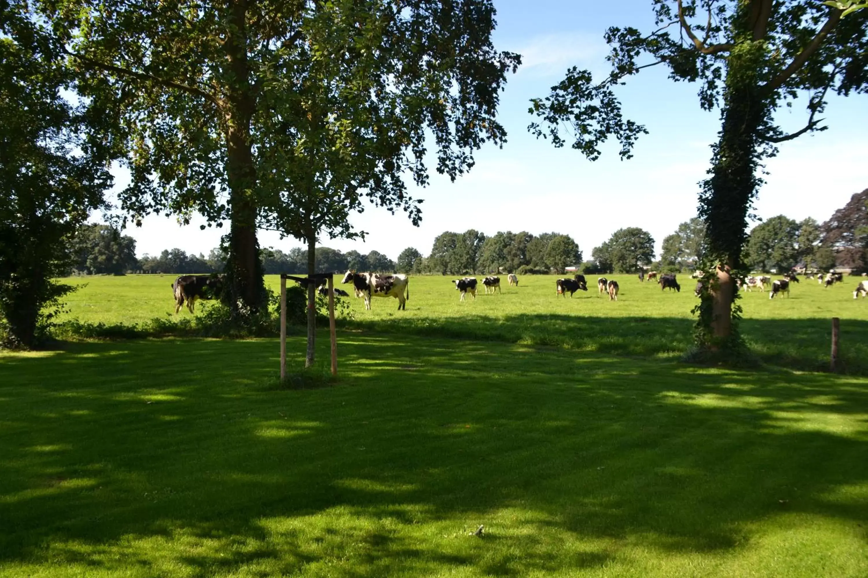 Natural landscape, Garden in Op de Kuyerlatten