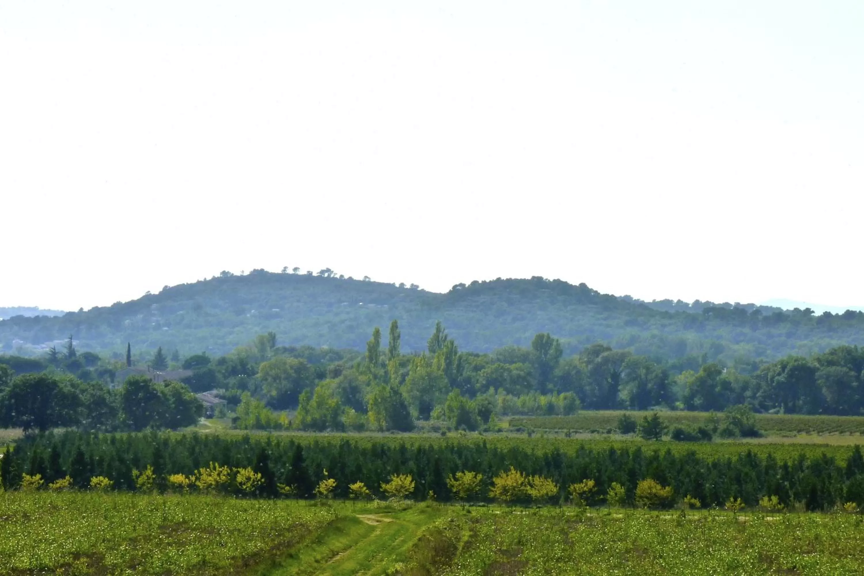 Natural landscape in L'Autre Maison