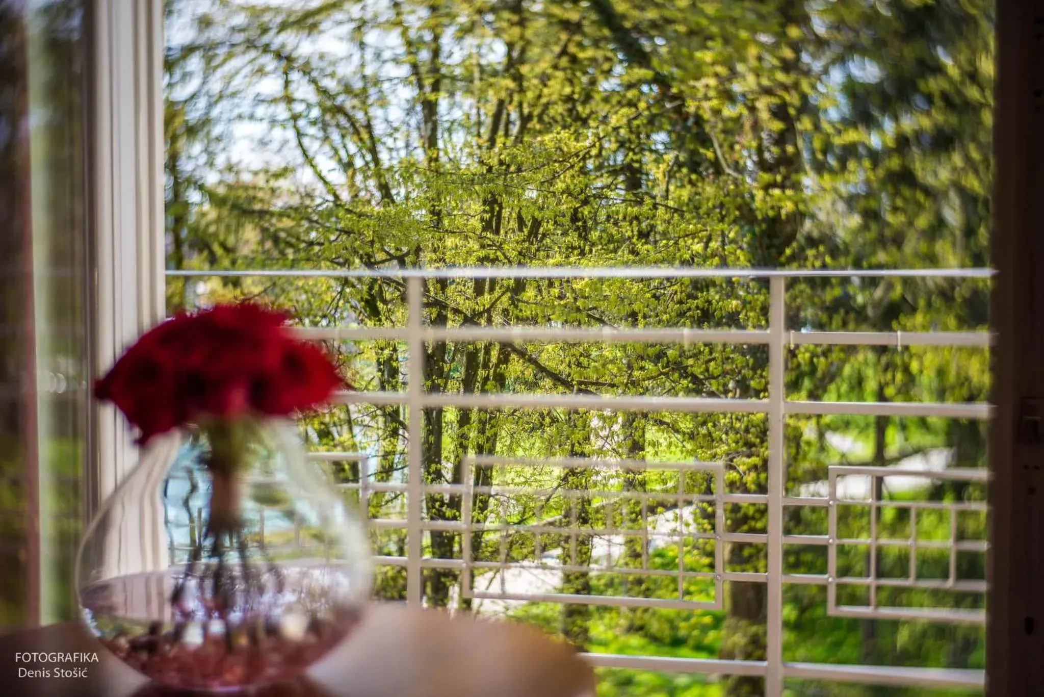 Photo of the whole room in Boutique Hotel Korana Srakovcic Photo of the whole room in Boutique Hotel Korana Srakovcic