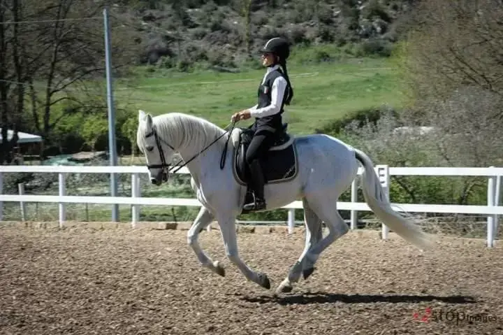 Day, Horseback Riding in Hotel Assisivm Antica Dimora AD