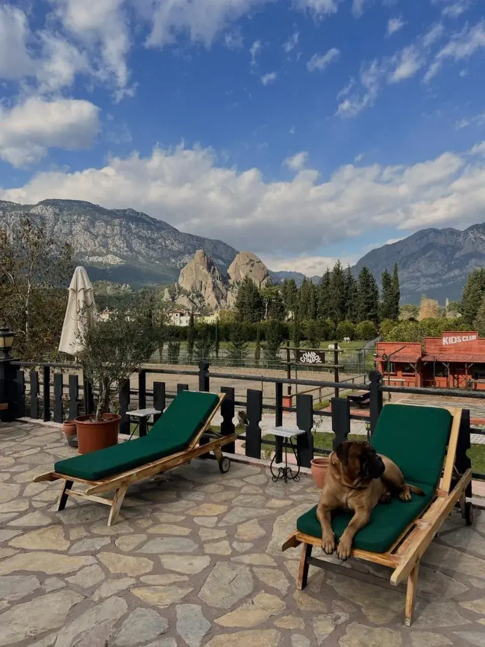 View (from property/room) in Hotel Berke Ranch&Nature