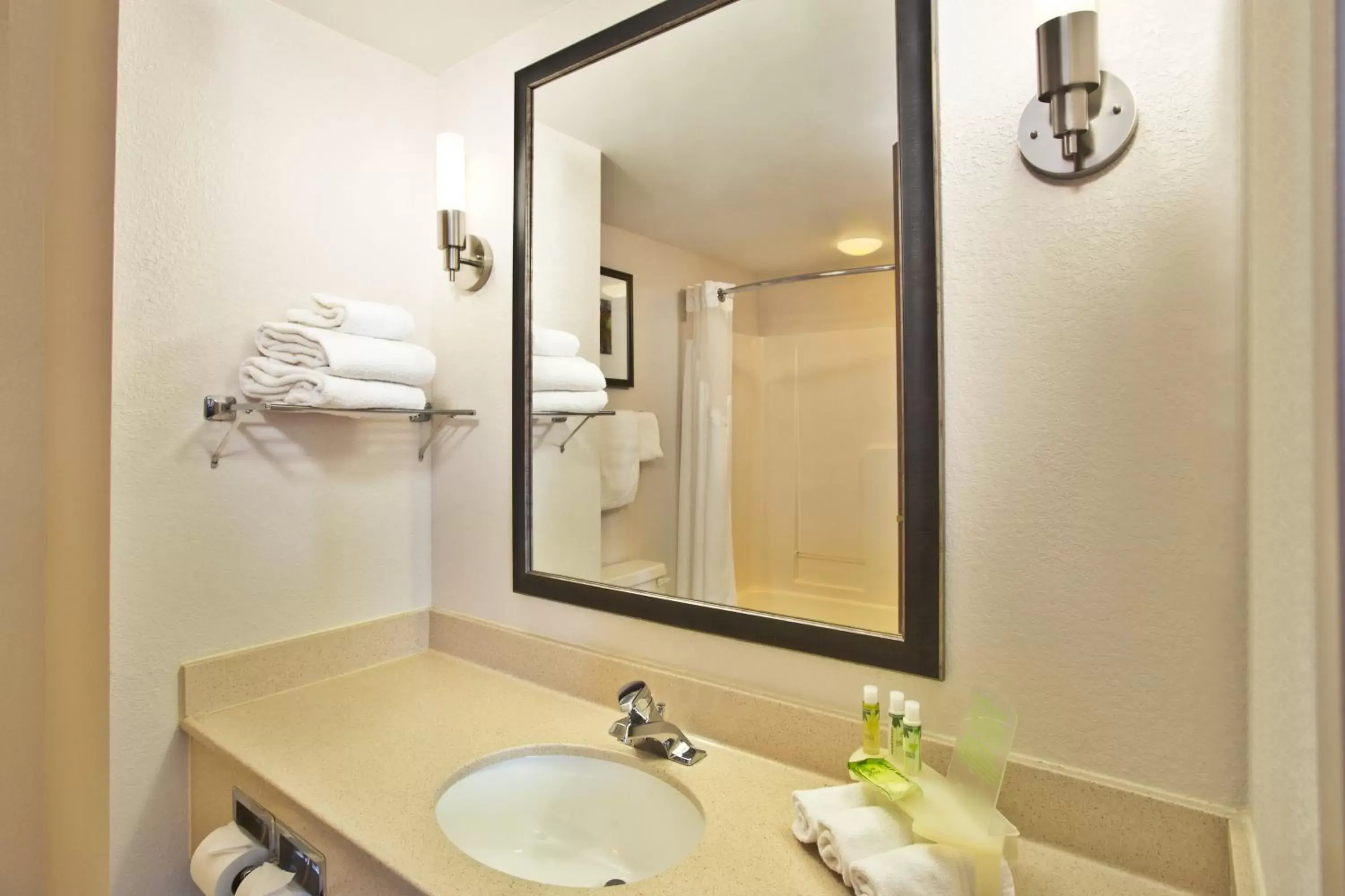 Bathroom in Holiday Inn Express Hotel and Suites Harrington - Dover Area, an IHG Hotel