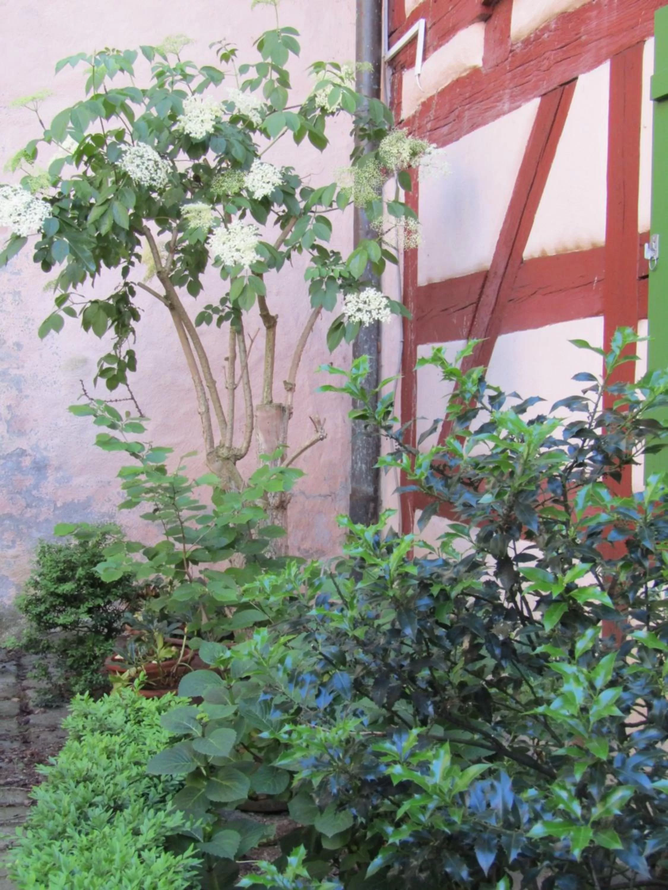 Garden in Hotel und Gasthof Ritter St. Georg