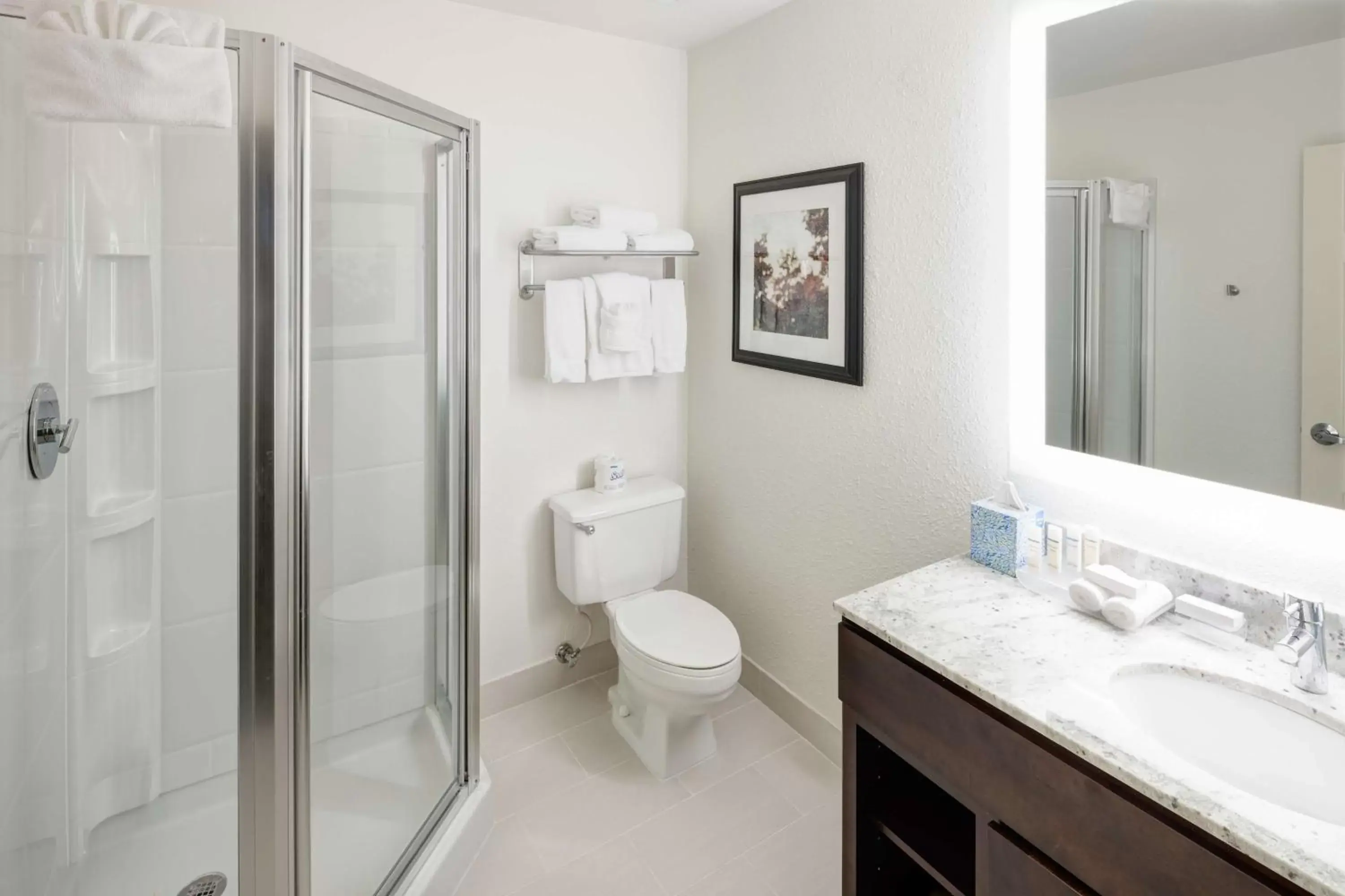Bathroom in Homewood Suites by Hilton Seattle-Tacoma Airport/Tukwila