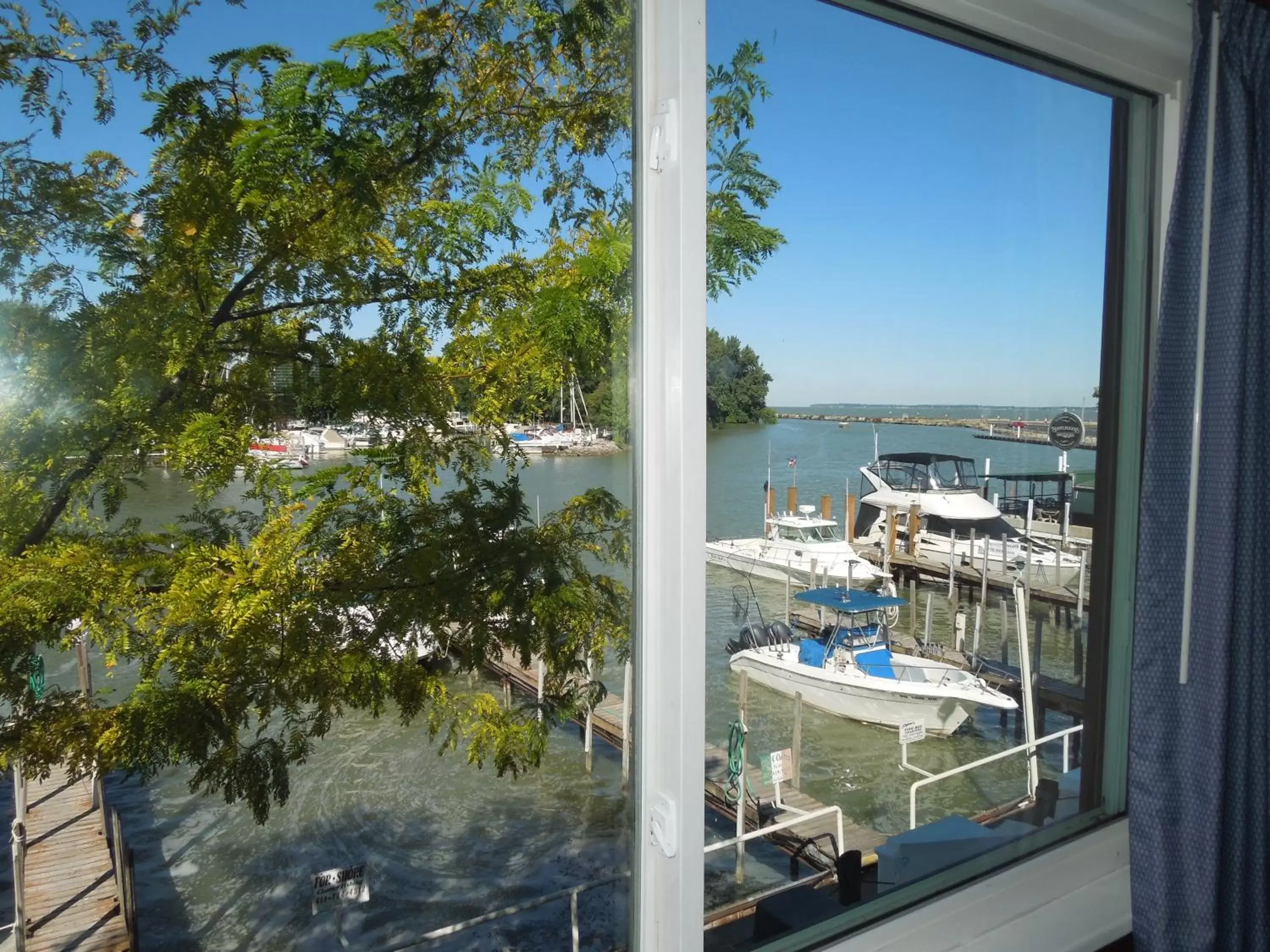 View (from property/room), Pool View in Arlington Inn