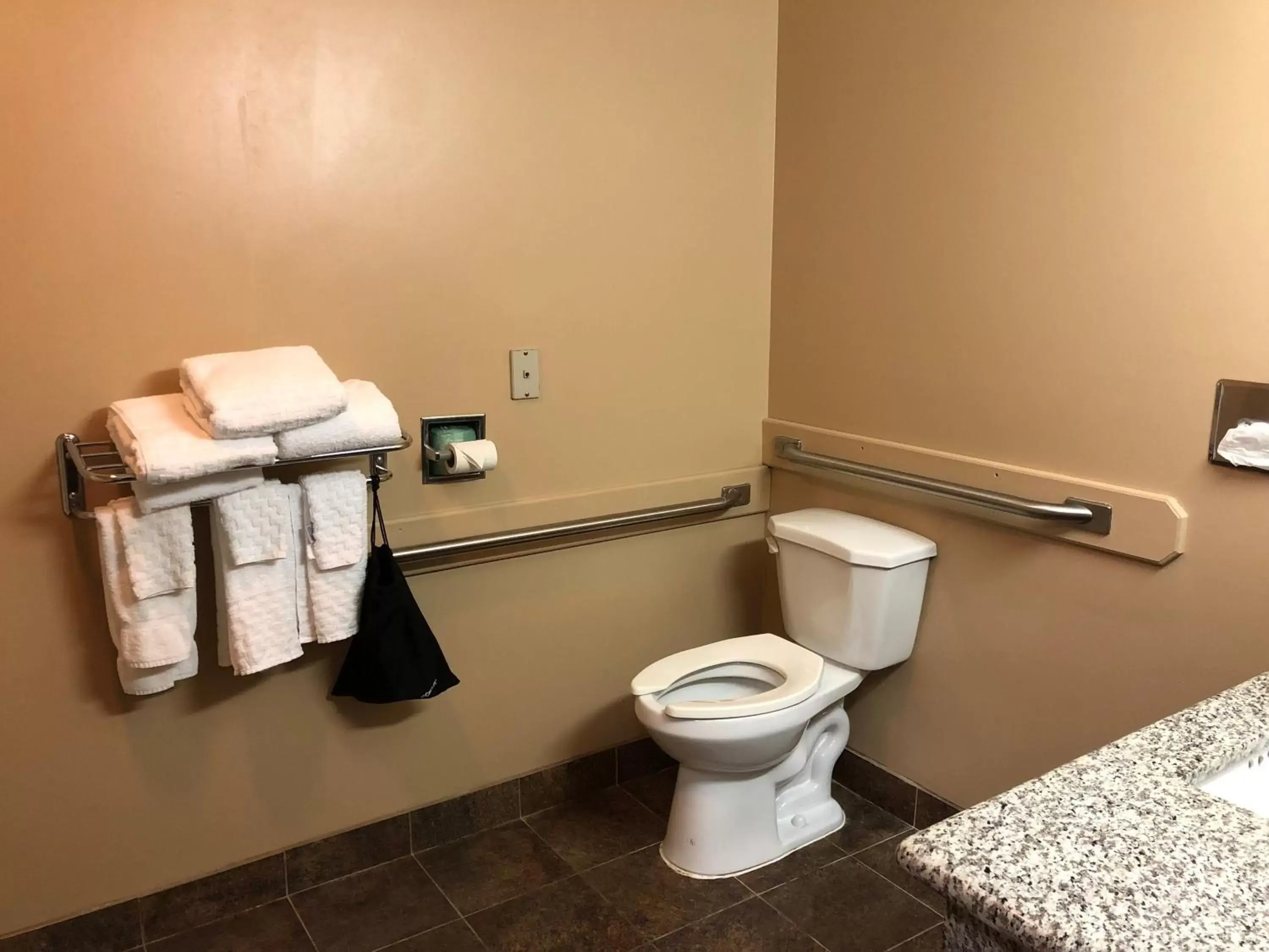 Toilet, Bathroom in Best Western Plus Coldwater Hotel