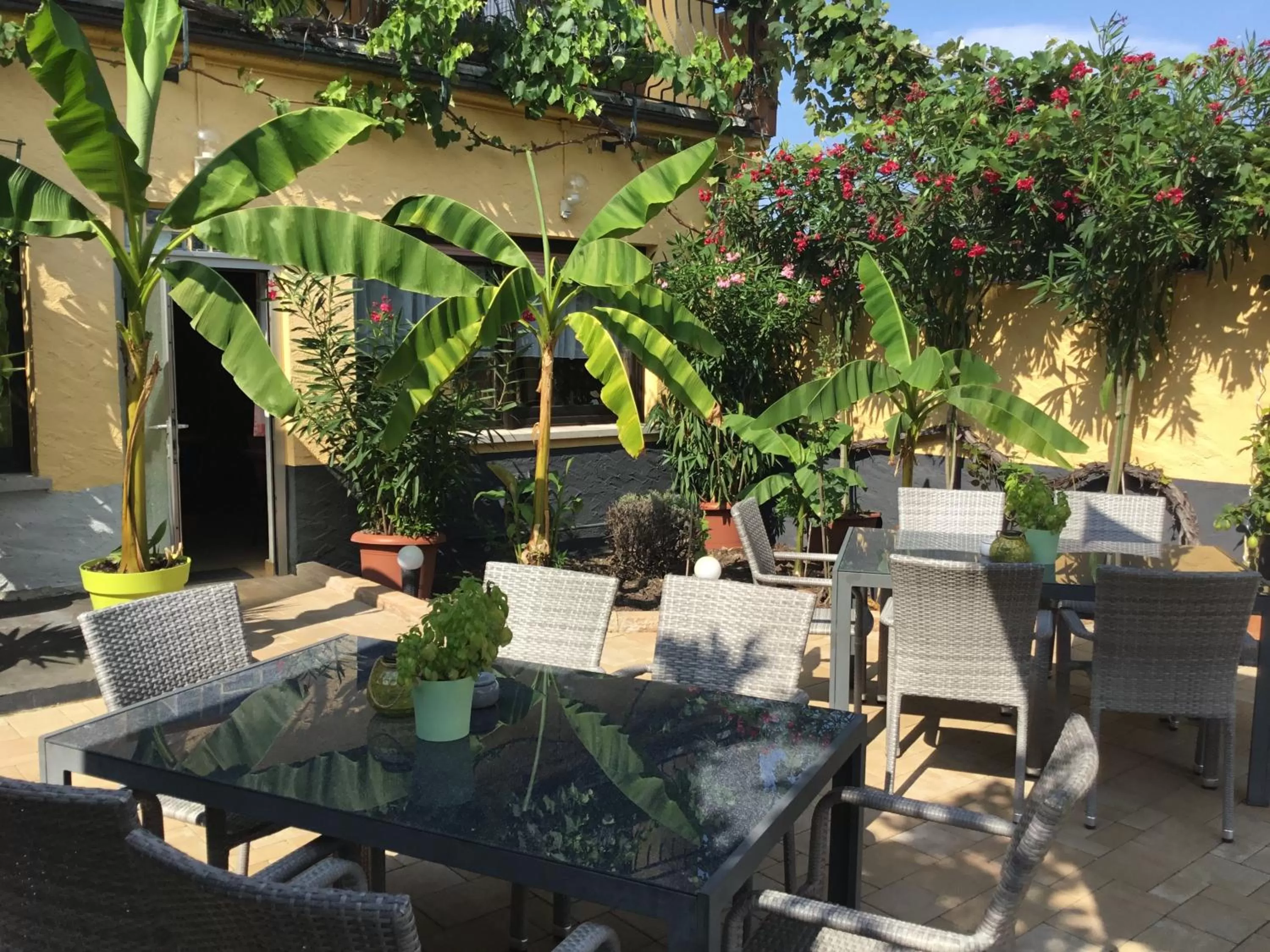 Bed and Breakfast - Rheingauer Hof