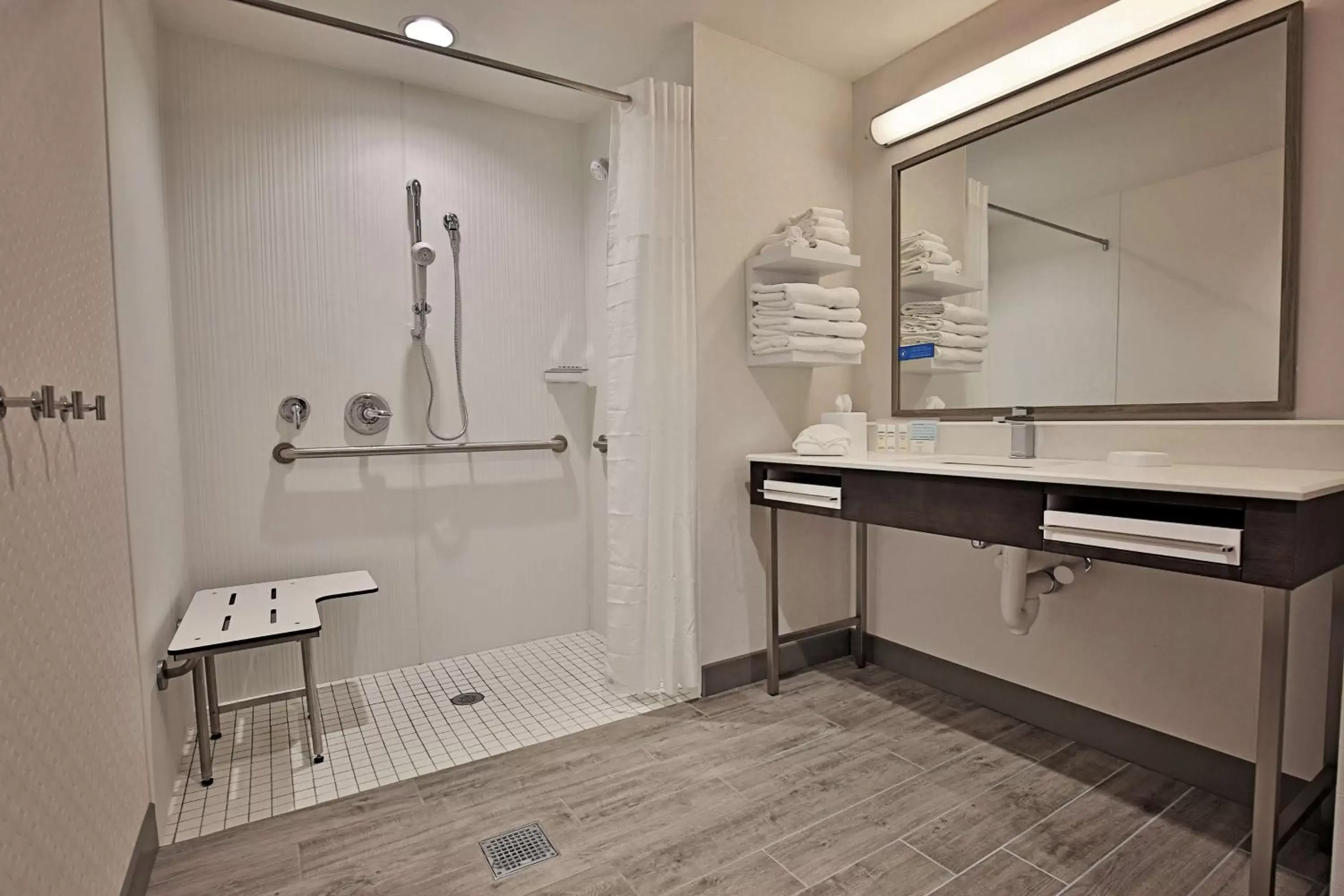 Bathroom in Hampton Inn & Suites Asheville Biltmore Area