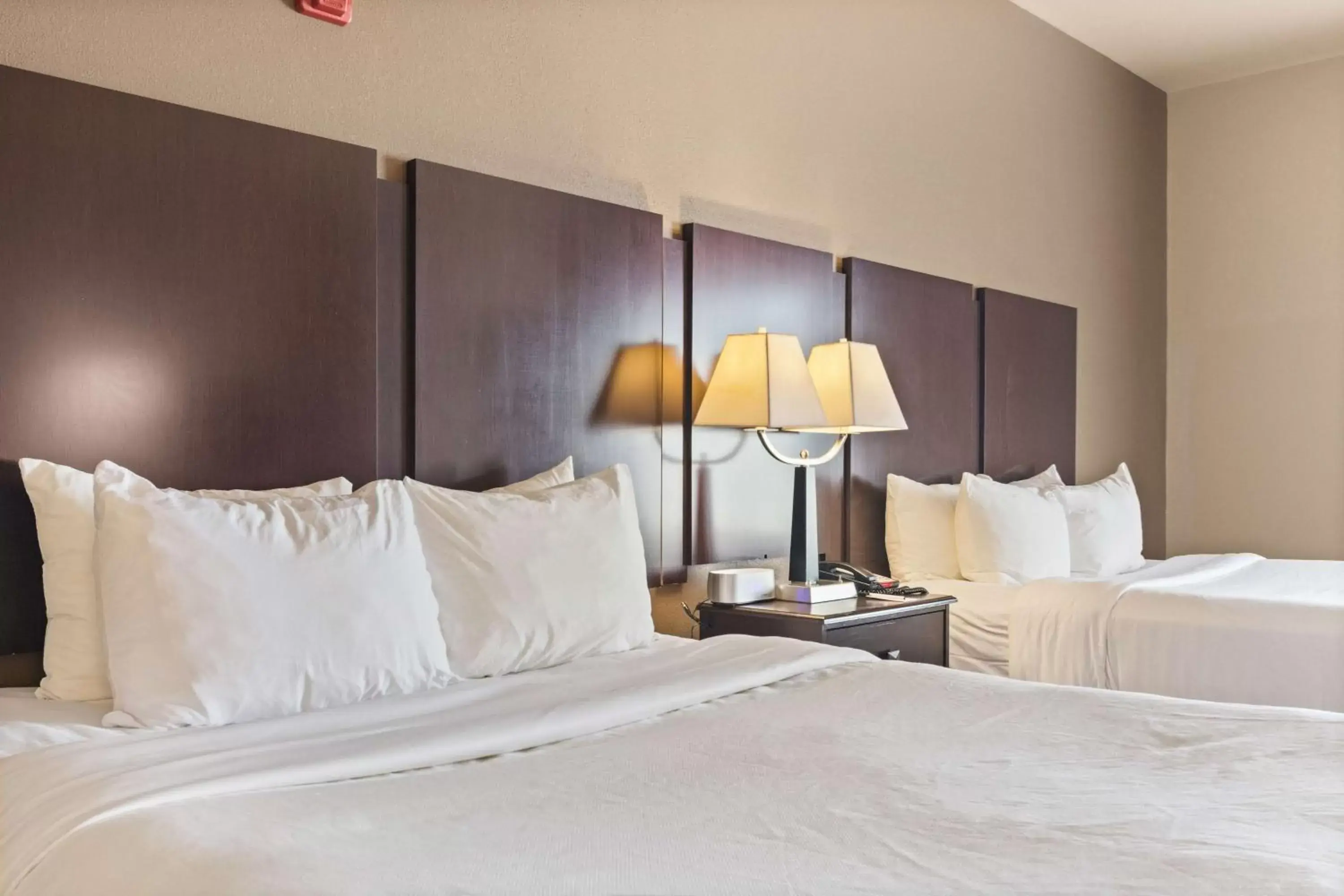 Photo of the whole room, Bed in Portland Inn & Suites Photo of the whole room, Bed in Portland Inn & Suites