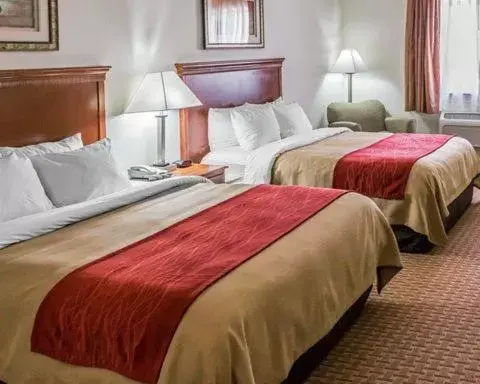 Queen Room with Two Queen Beds - Non-Smoking in Comfort Inn Hebron-Lowell Area