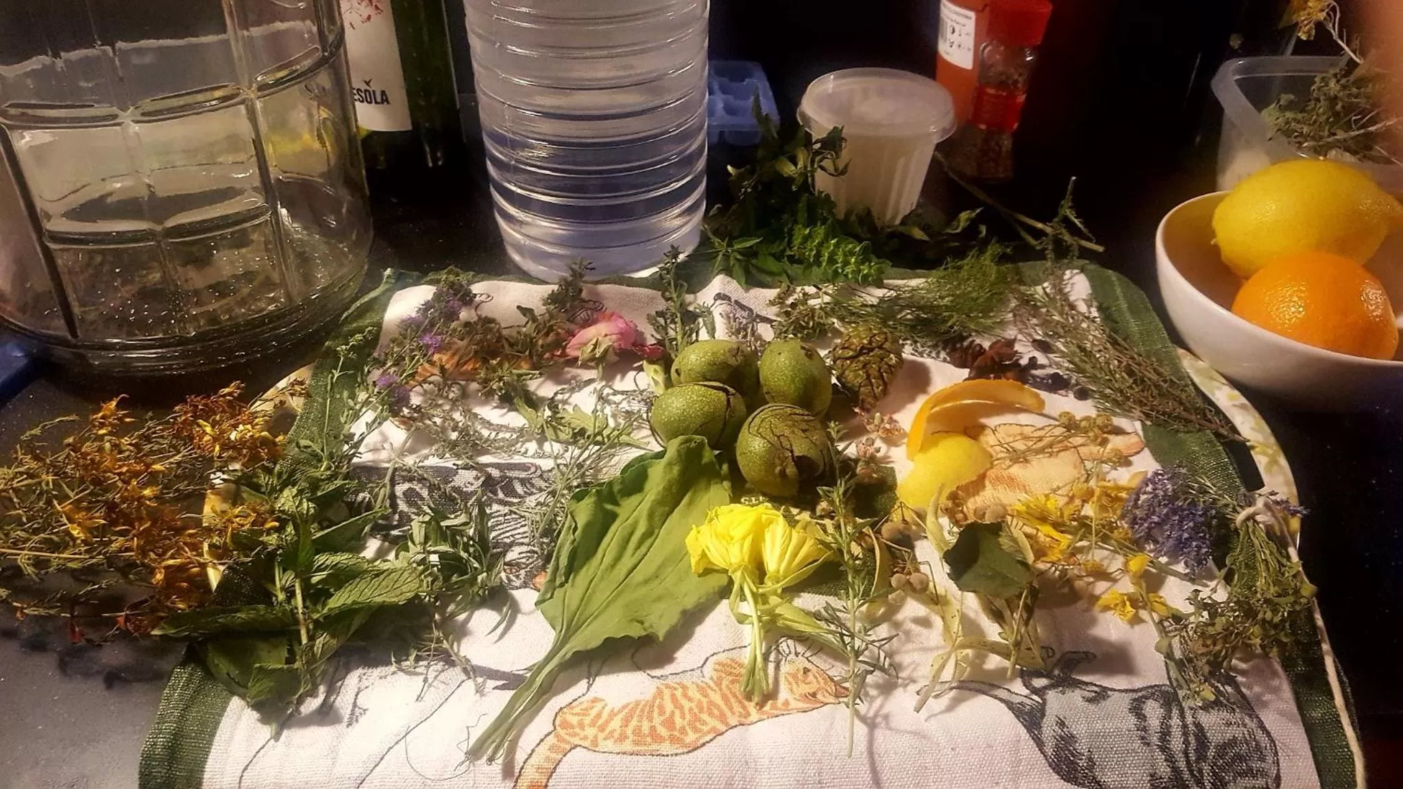 Food and drinks in B&B La Rectoria de Sant Miquel de Pineda