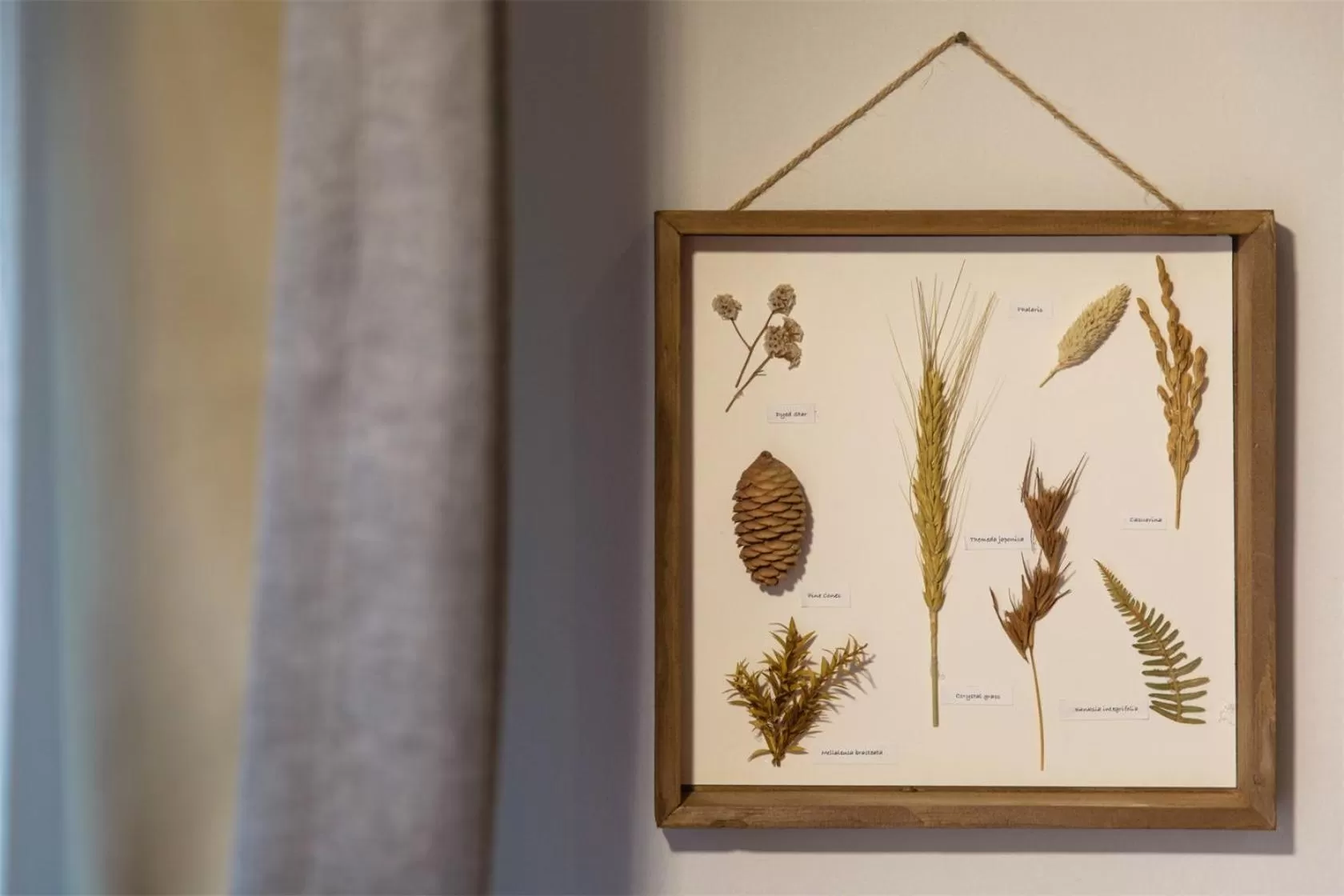 Decorative detail in Wander Hostel