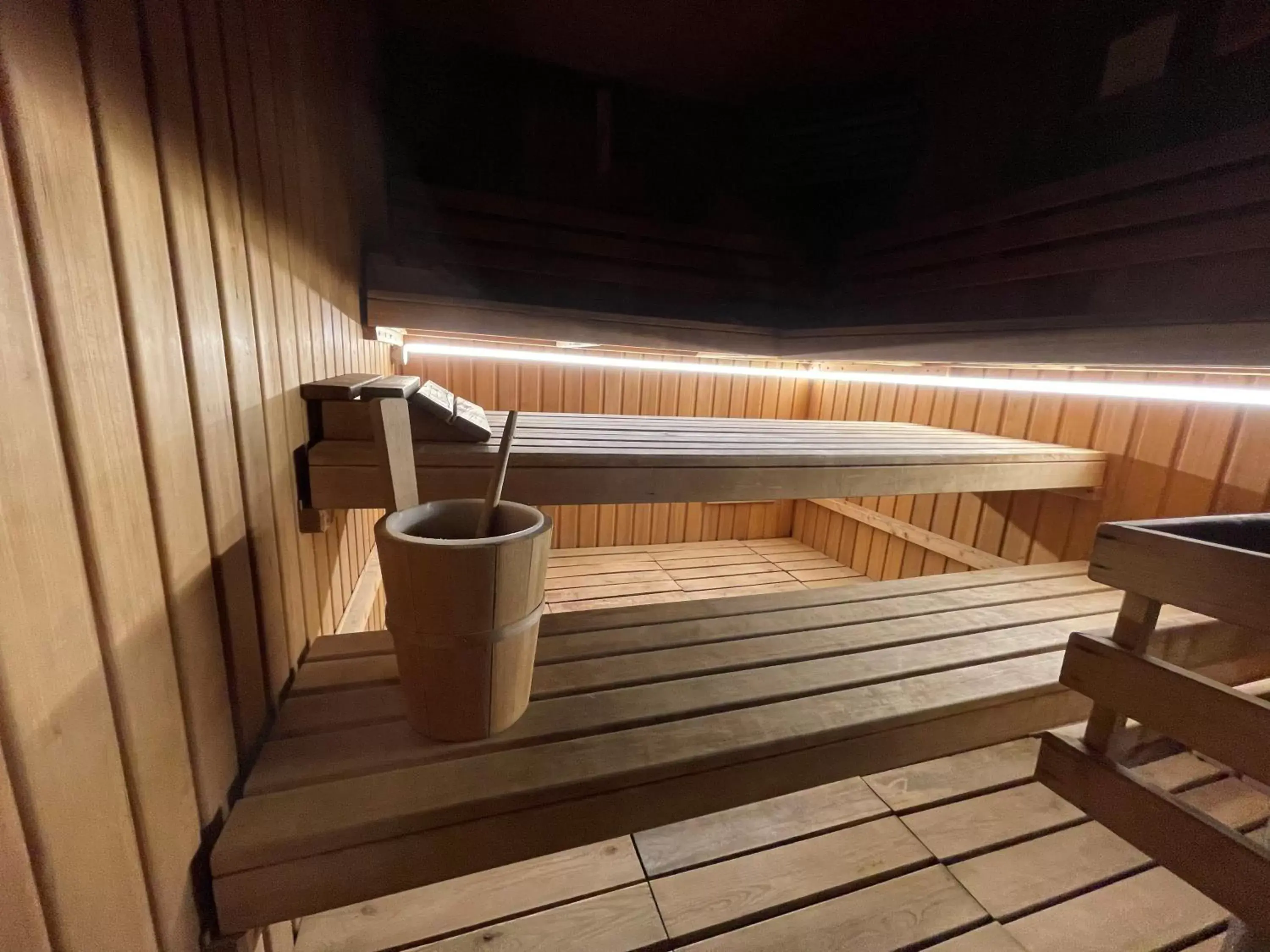 Sauna in Logis Hotel Center