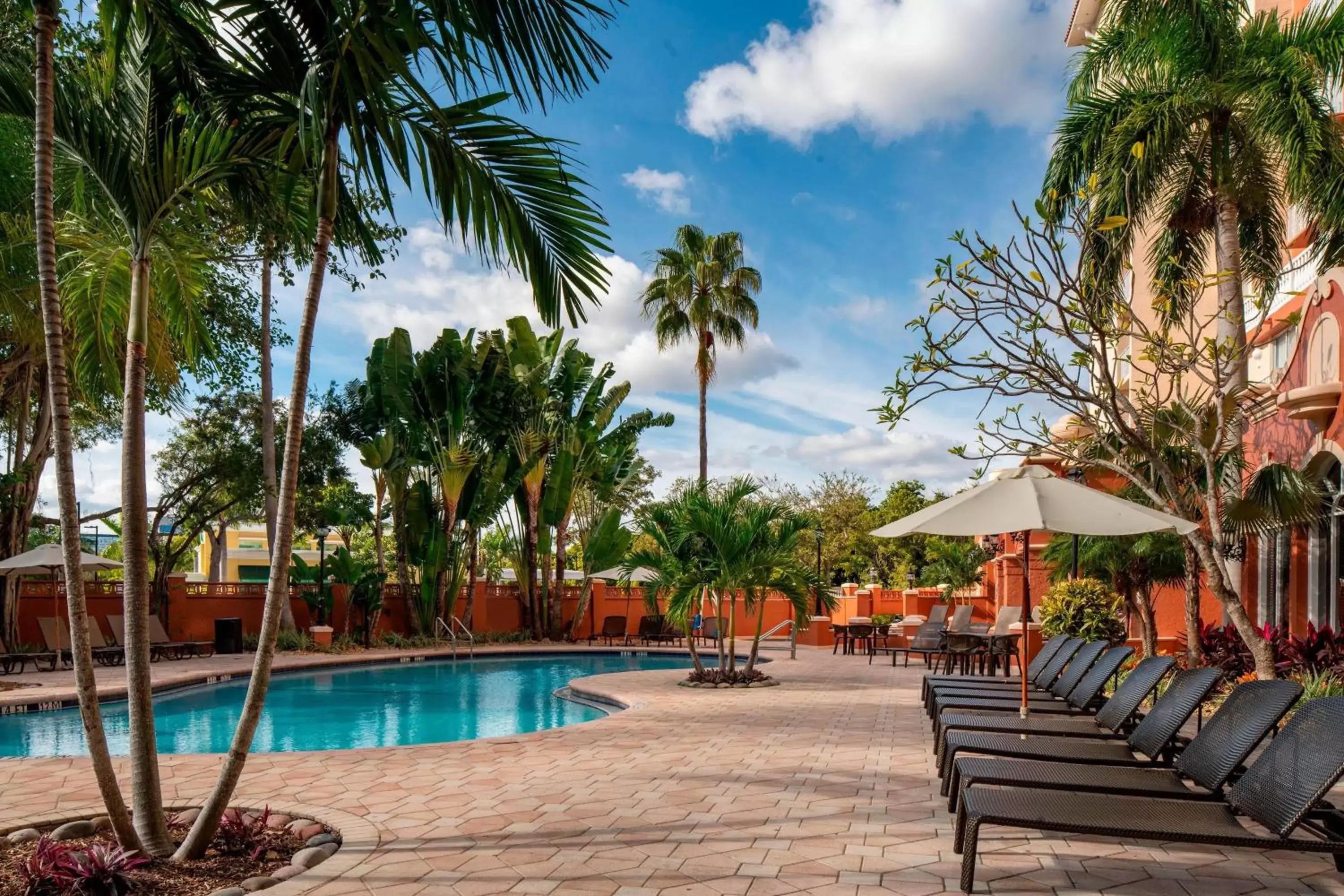 Swimming Pool in Sheraton Suites Fort Lauderdale at Cypress Creek