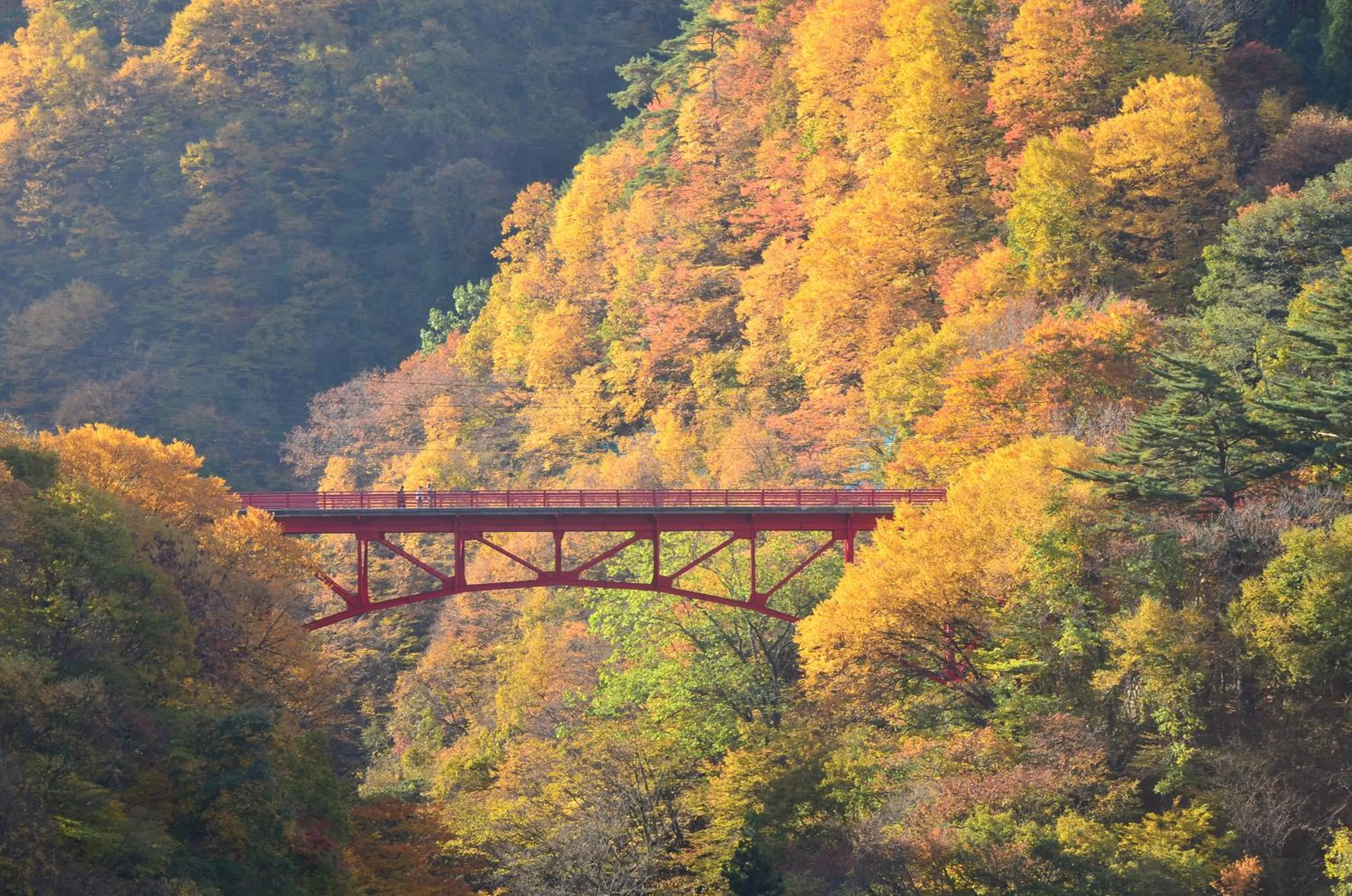 Nearby landmark in Ryokan Warabino