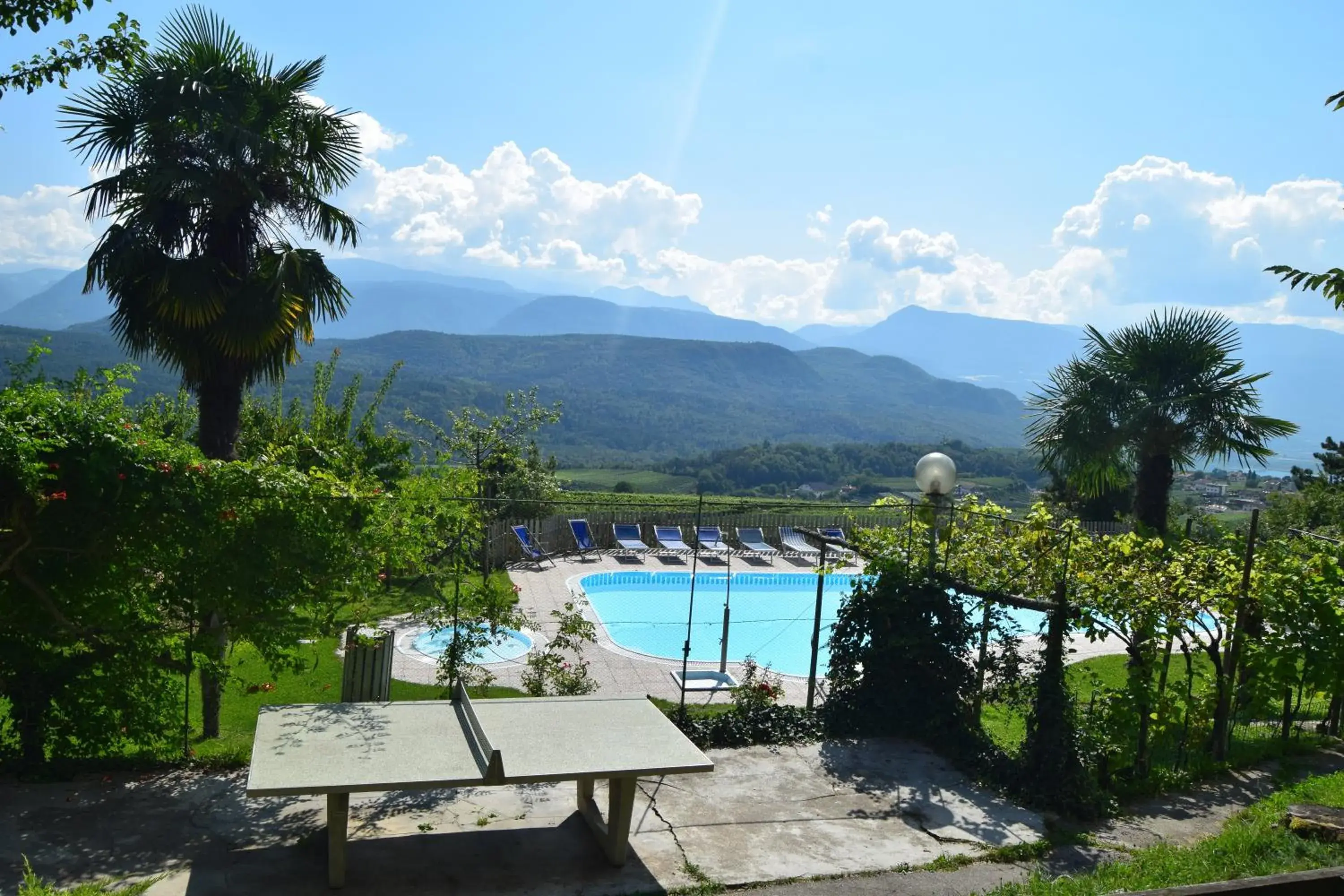 Garden, Swimming Pool in Hotel Tannhof