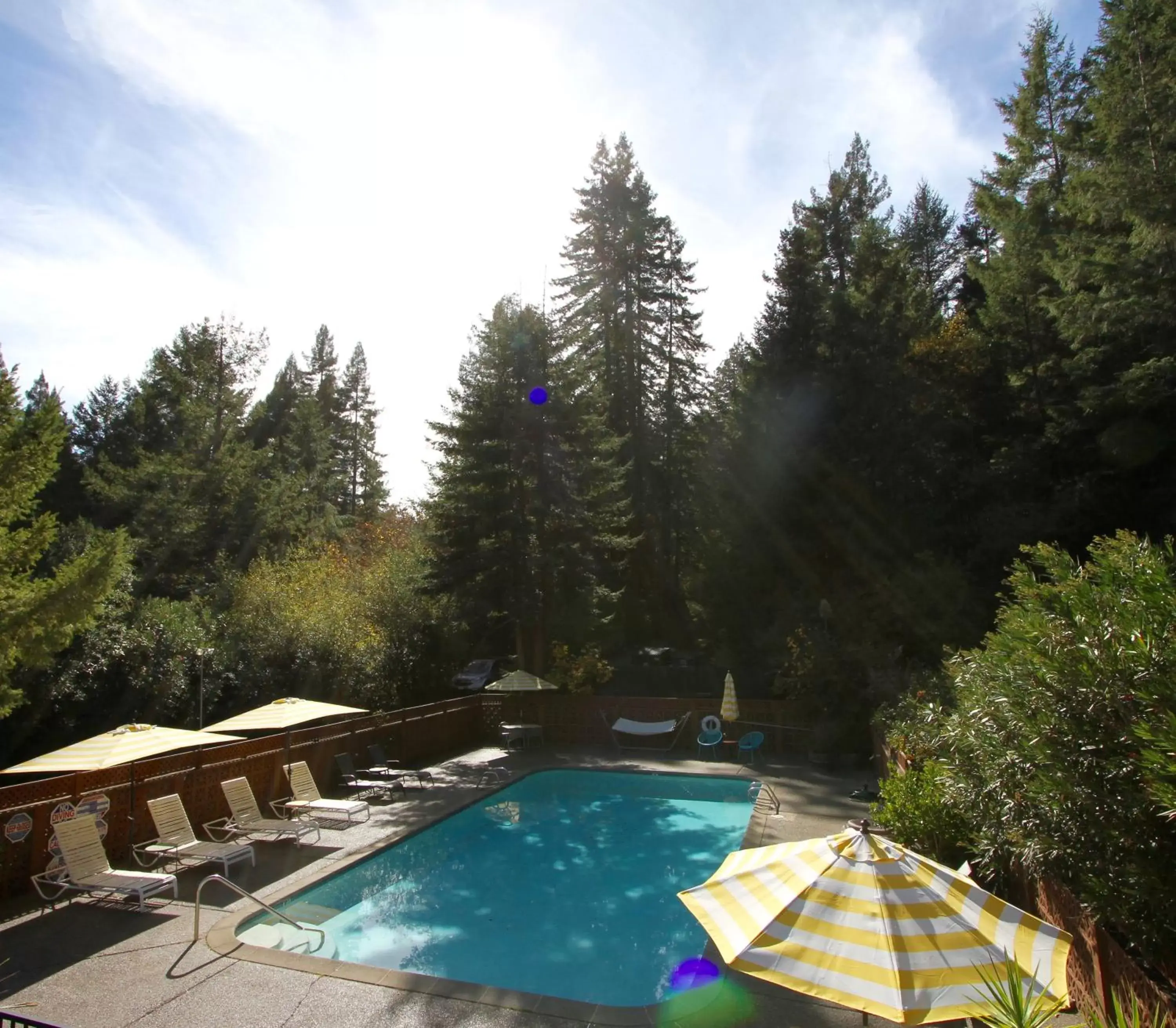 Swimming Pool in The Occidental Lodge