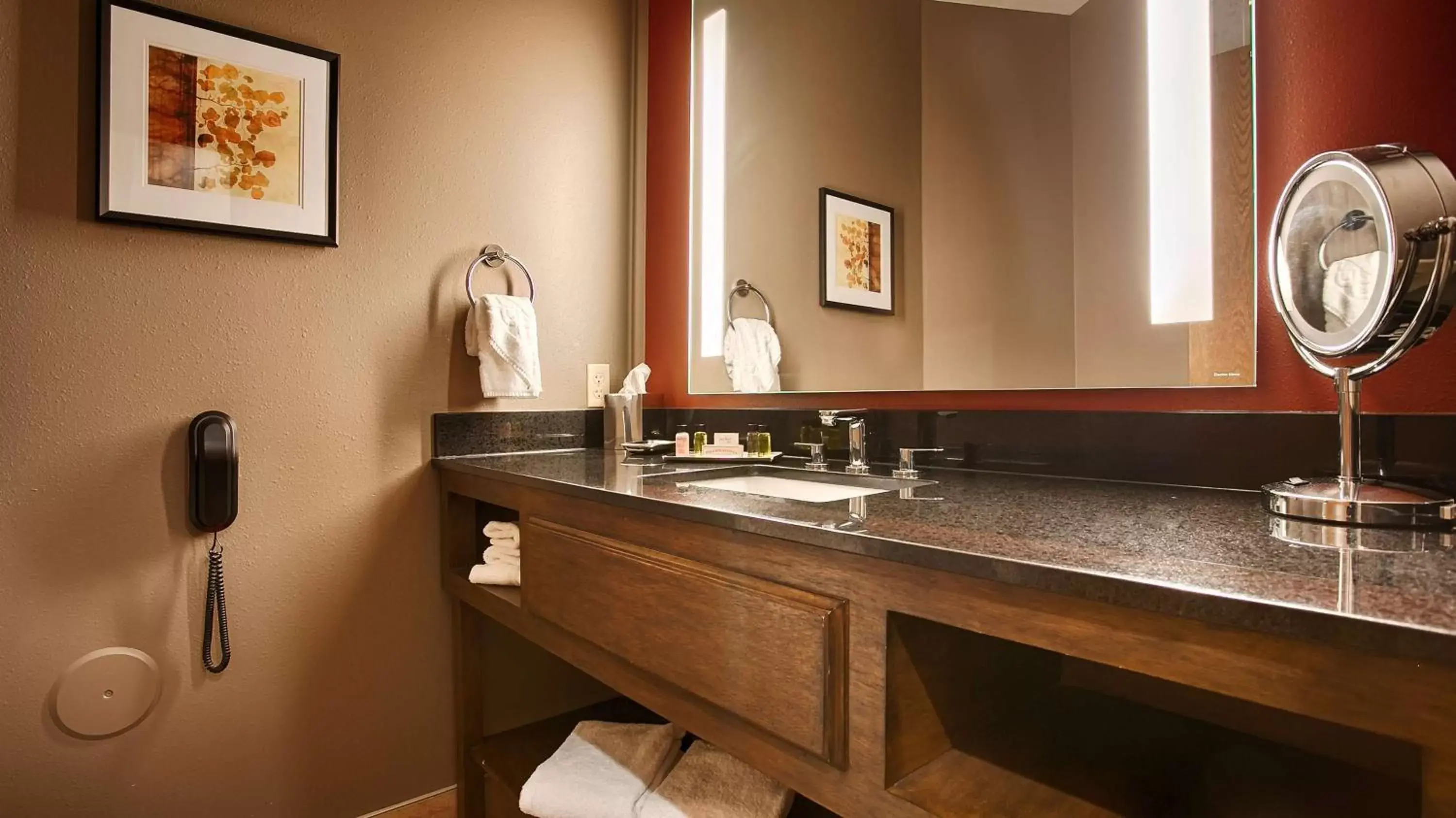 Bathroom in Best Western Premier Ivy Inn & Suites