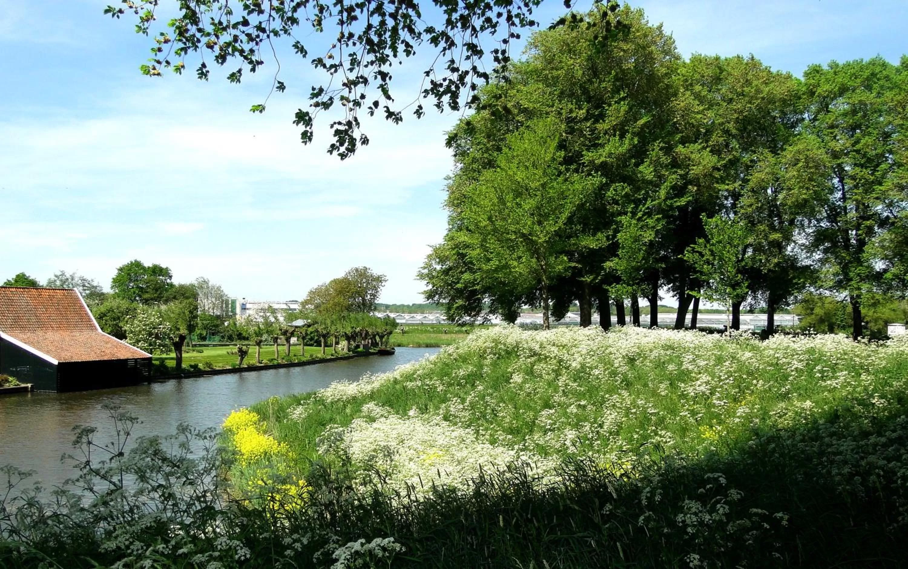 Neighbourhood in Hotel De Koepoort