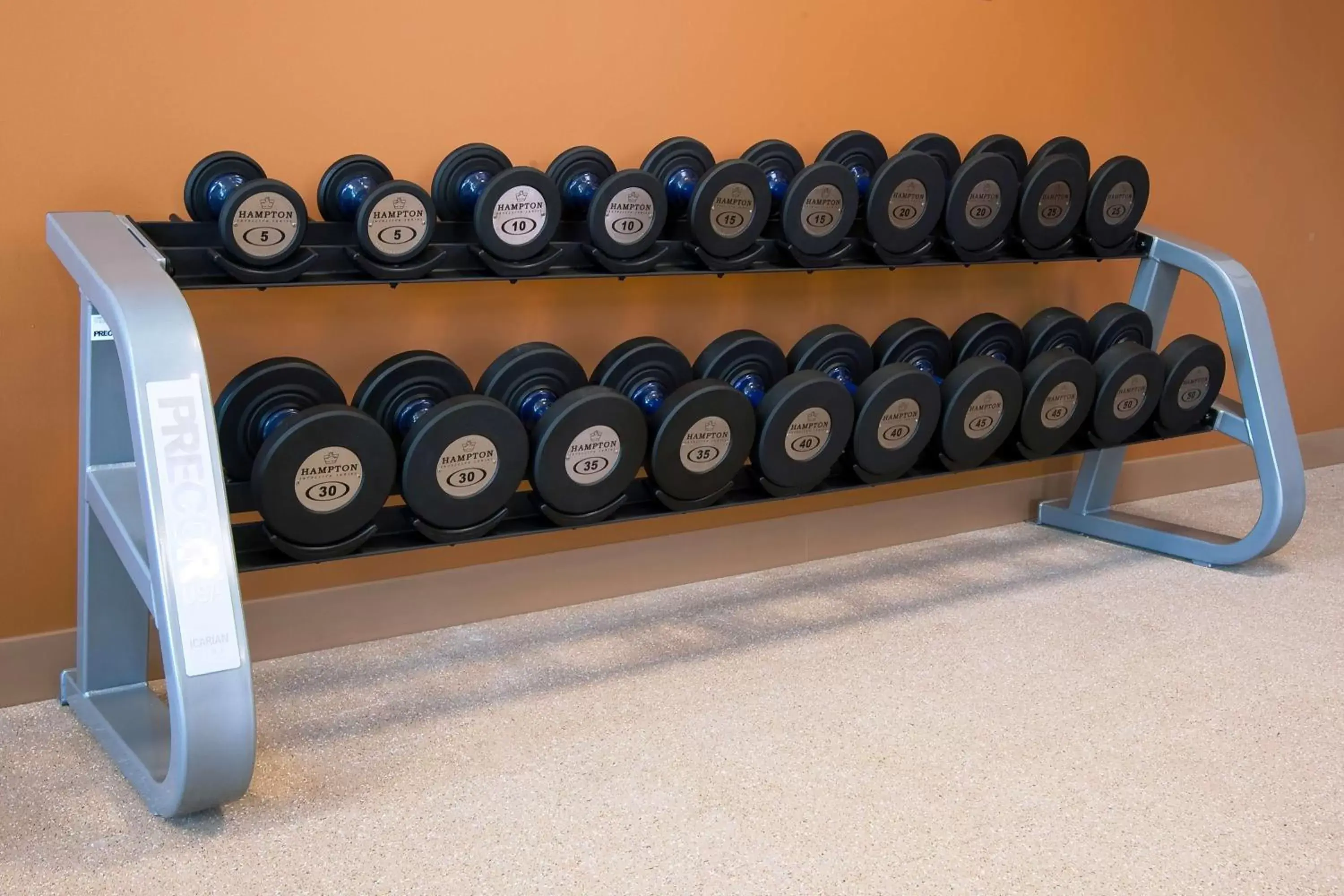 Fitness centre/facilities, Fitness Center/Facilities in Hilton Garden Inn St. Louis Airport