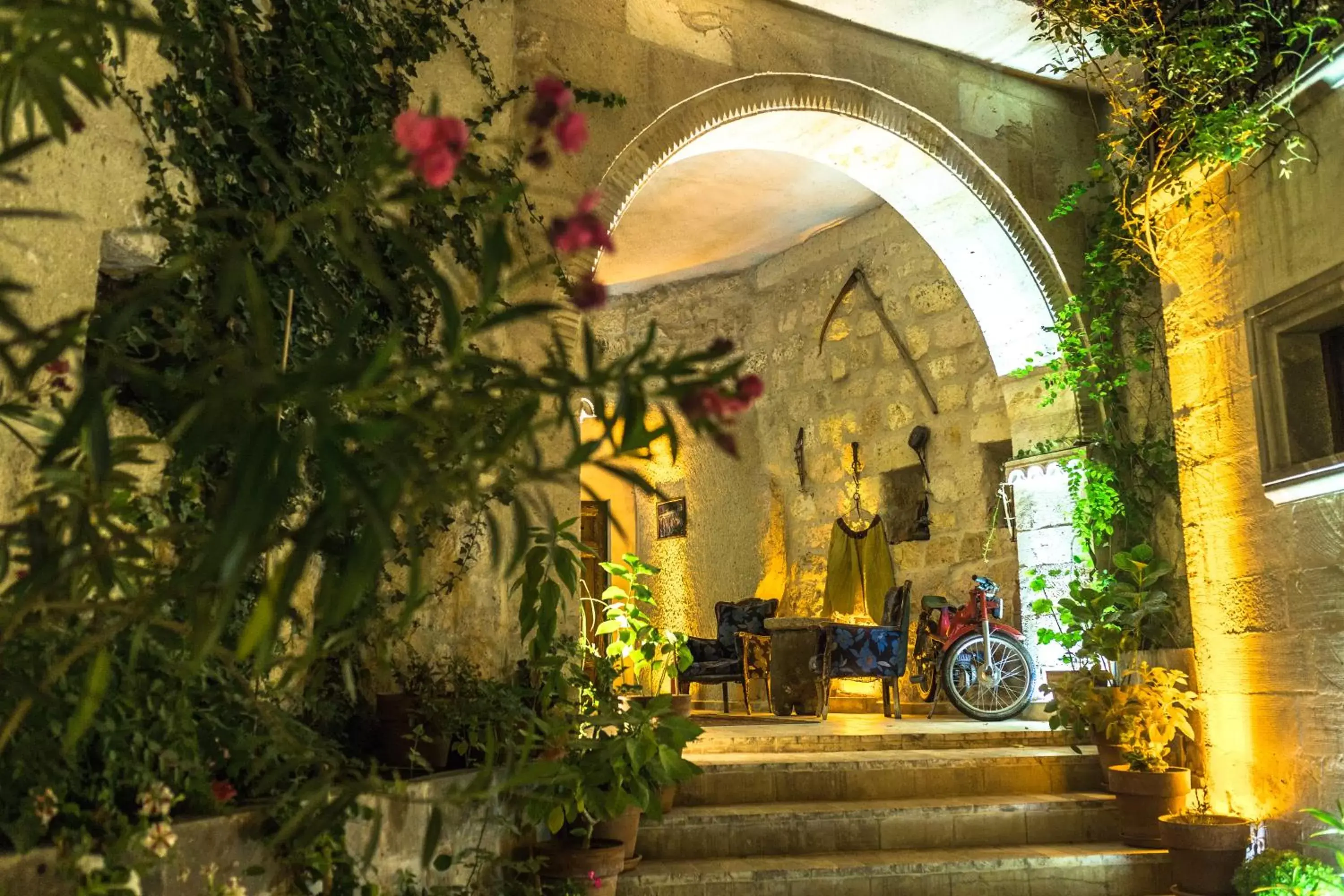 Garden in Hidden Cave Hotel